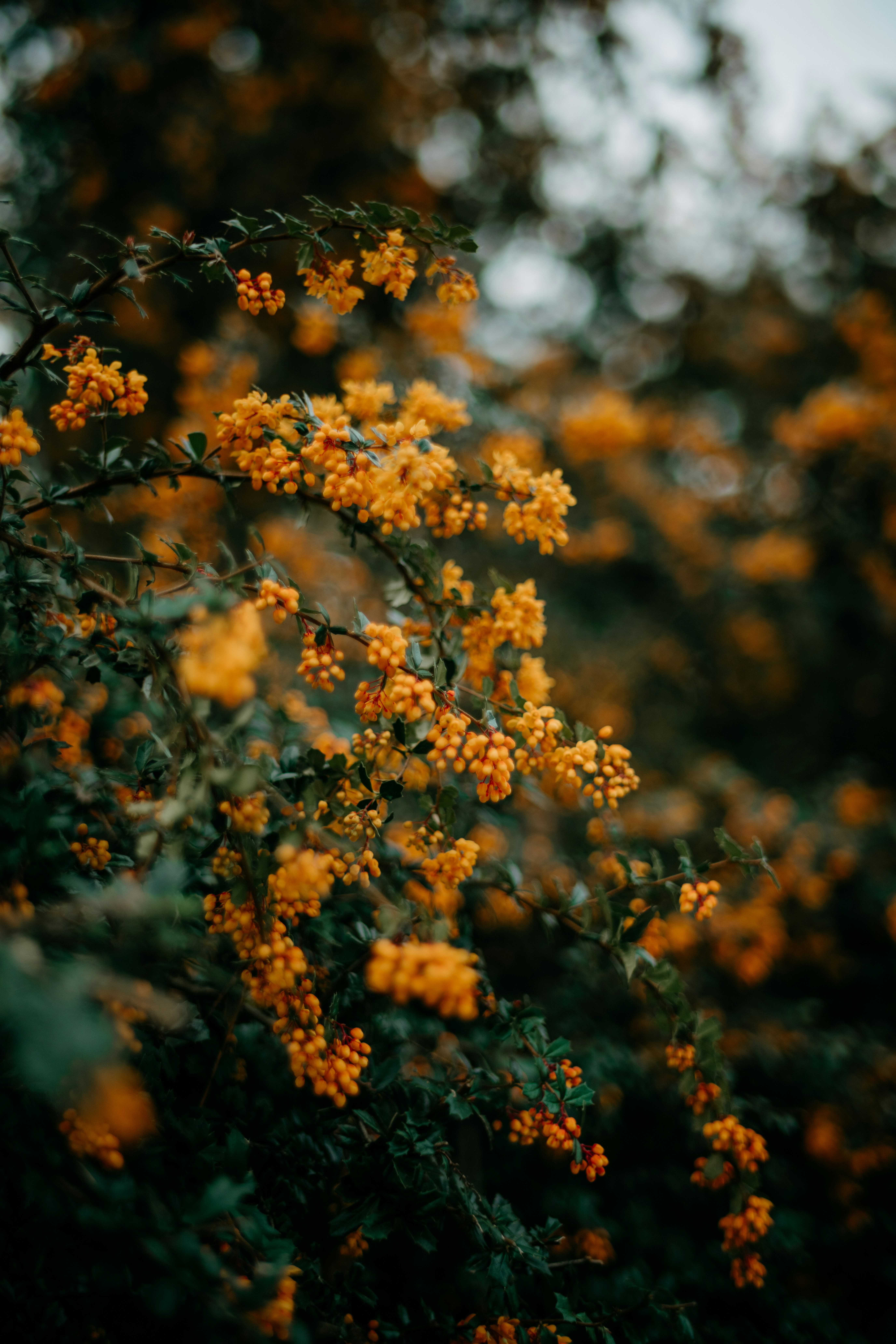 Photo by anniespratt