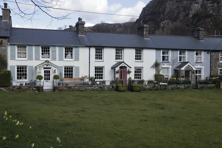 White cottages facing a village green