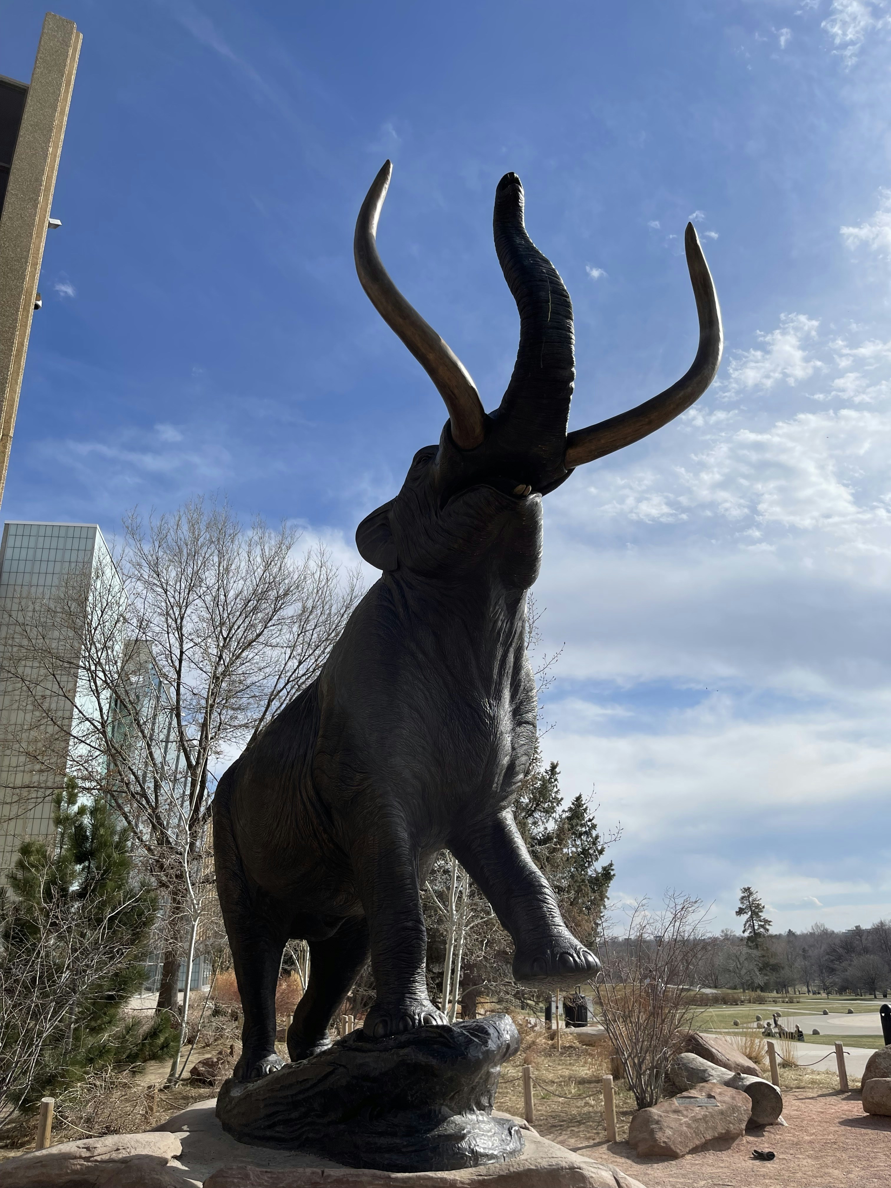 photo-1648626593922-ff5b2cc8dff8