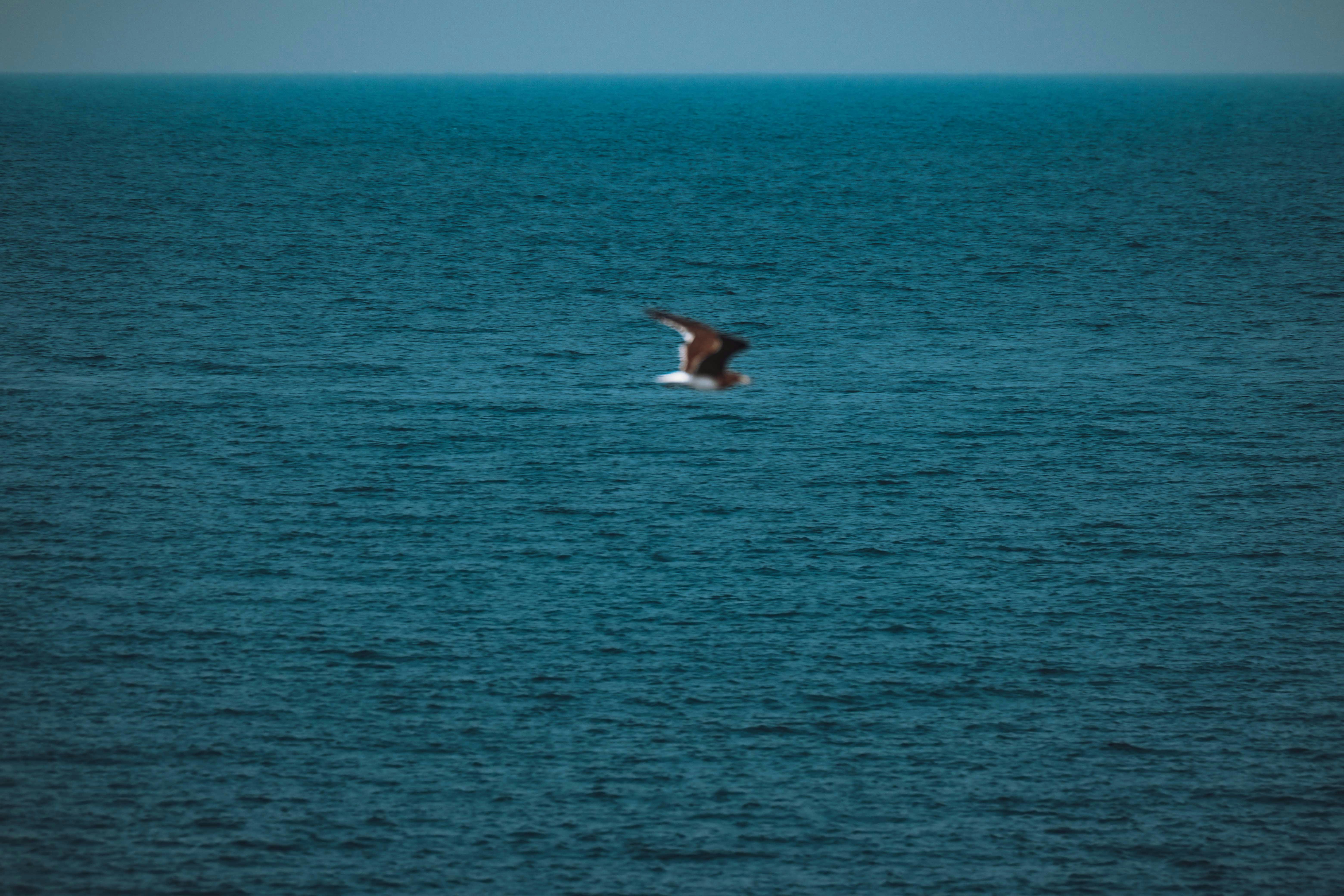 Photo by francesco_ungaro