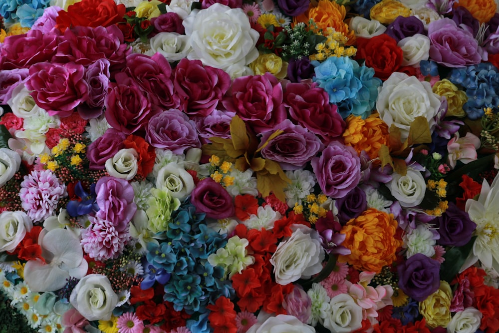 a large group of colorful flowers