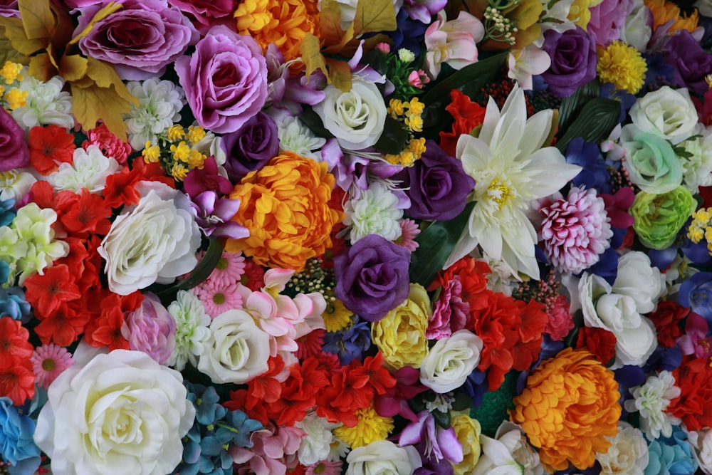 a large group of colorful flowers