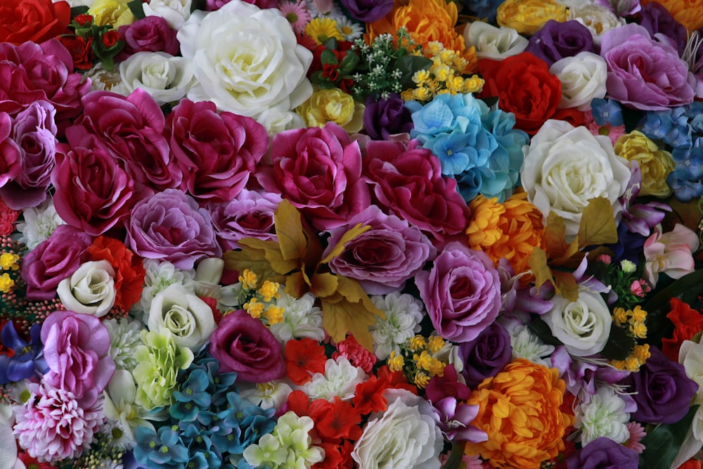 a large group of colorful flowers