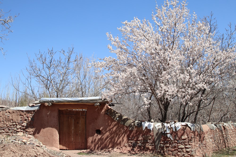 a small shed with a tree in the back