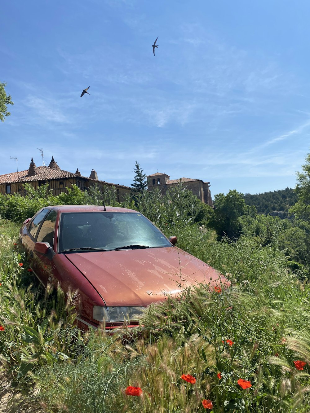 a car parked in a grassy field with birds flying around