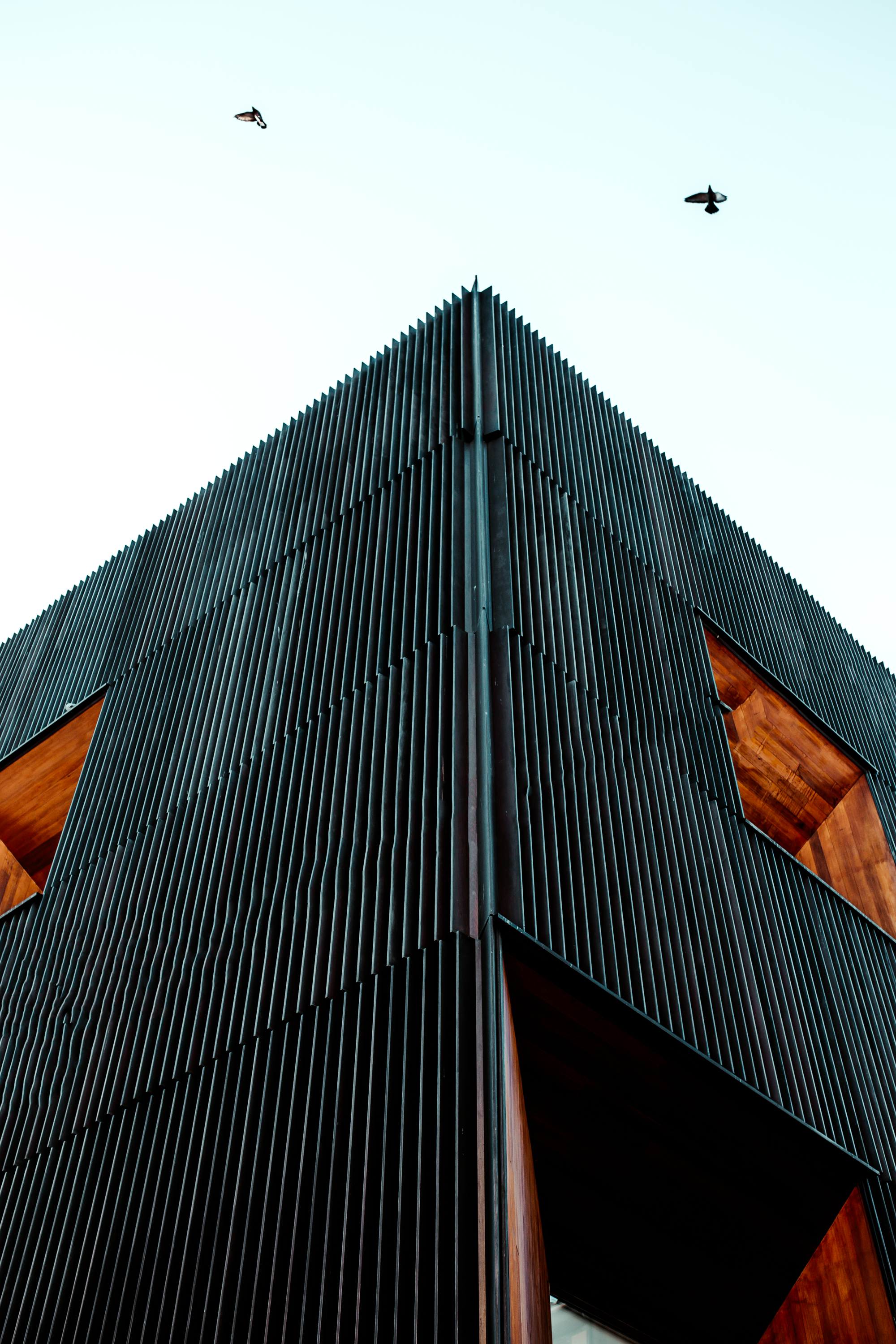 Photo by julenreyazcona