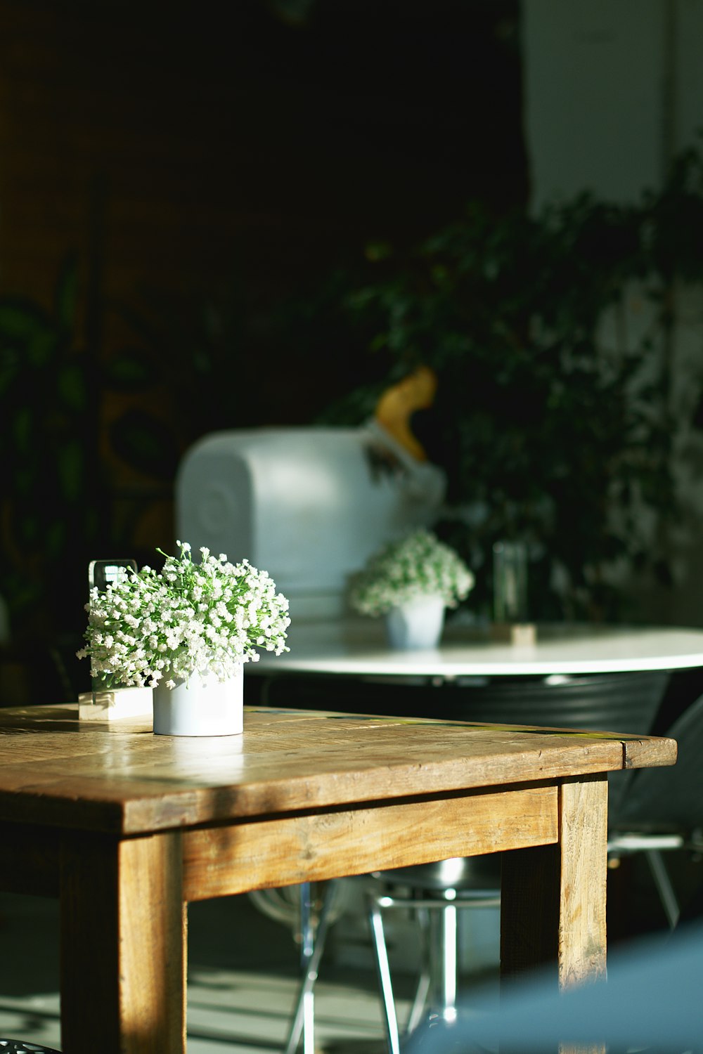 a table with potted plants