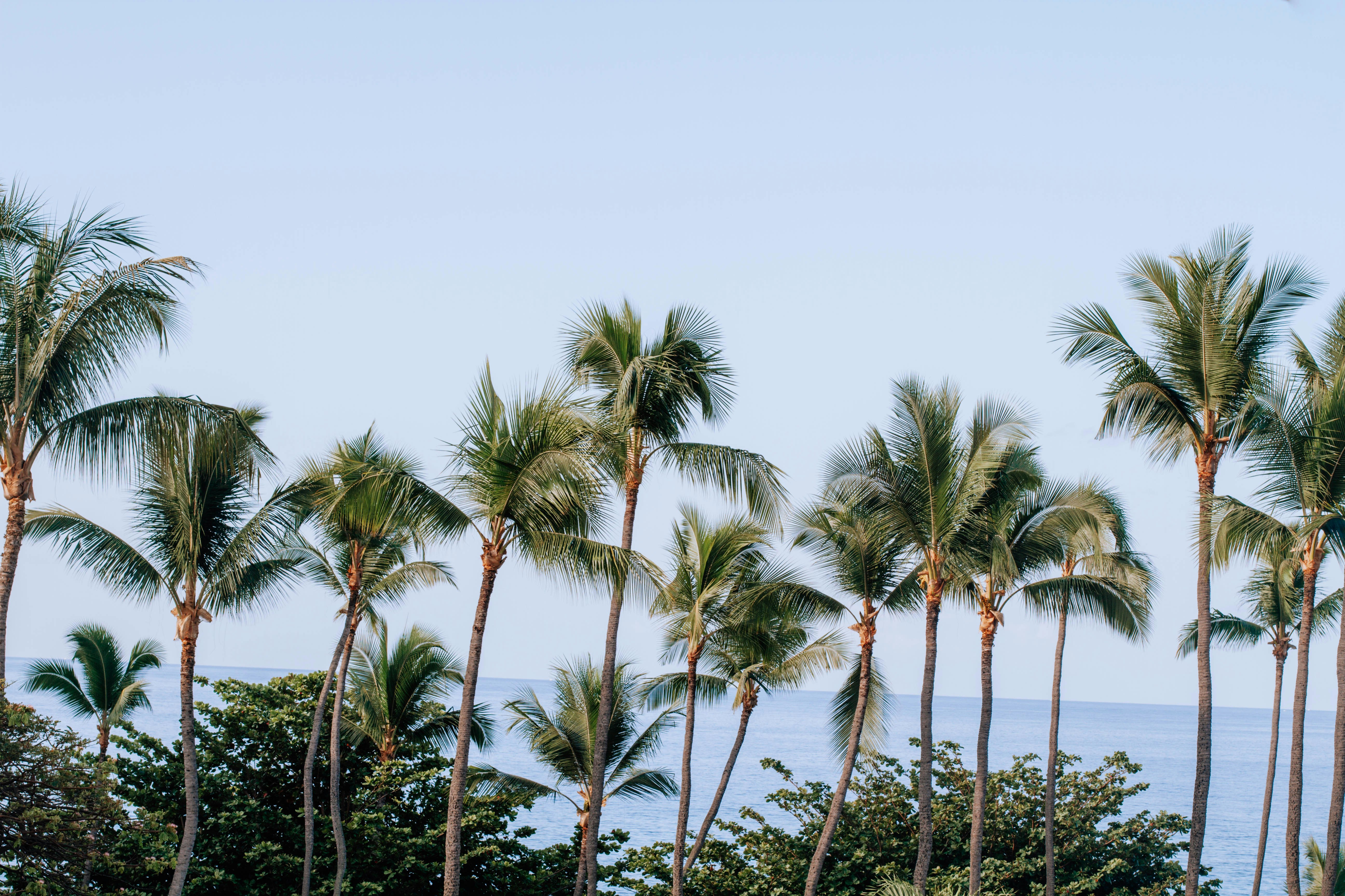 Photo by ingridmartinussen