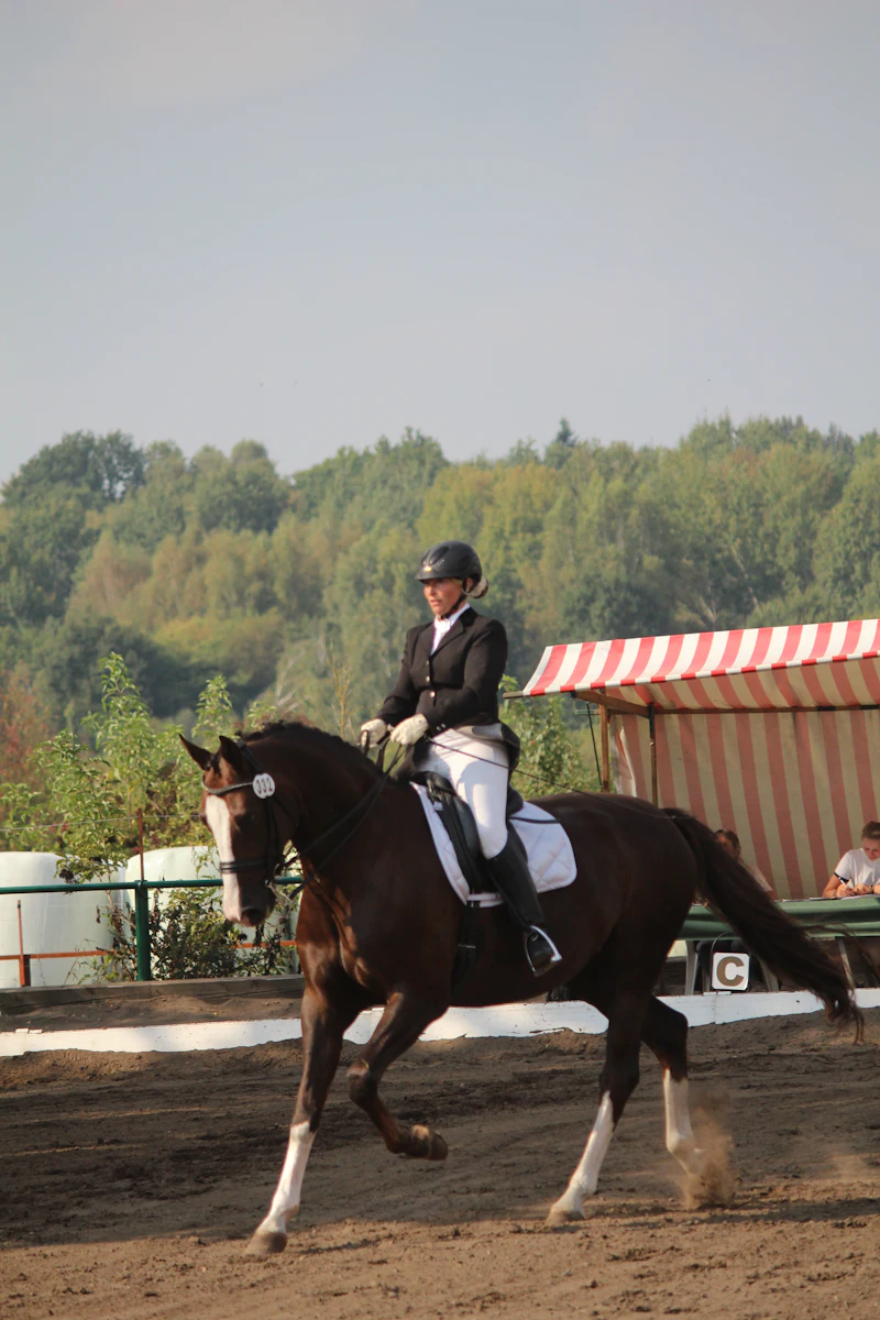 Man riding a horse