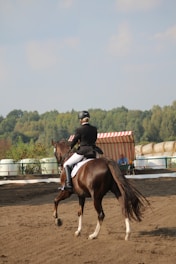 a person riding a horse