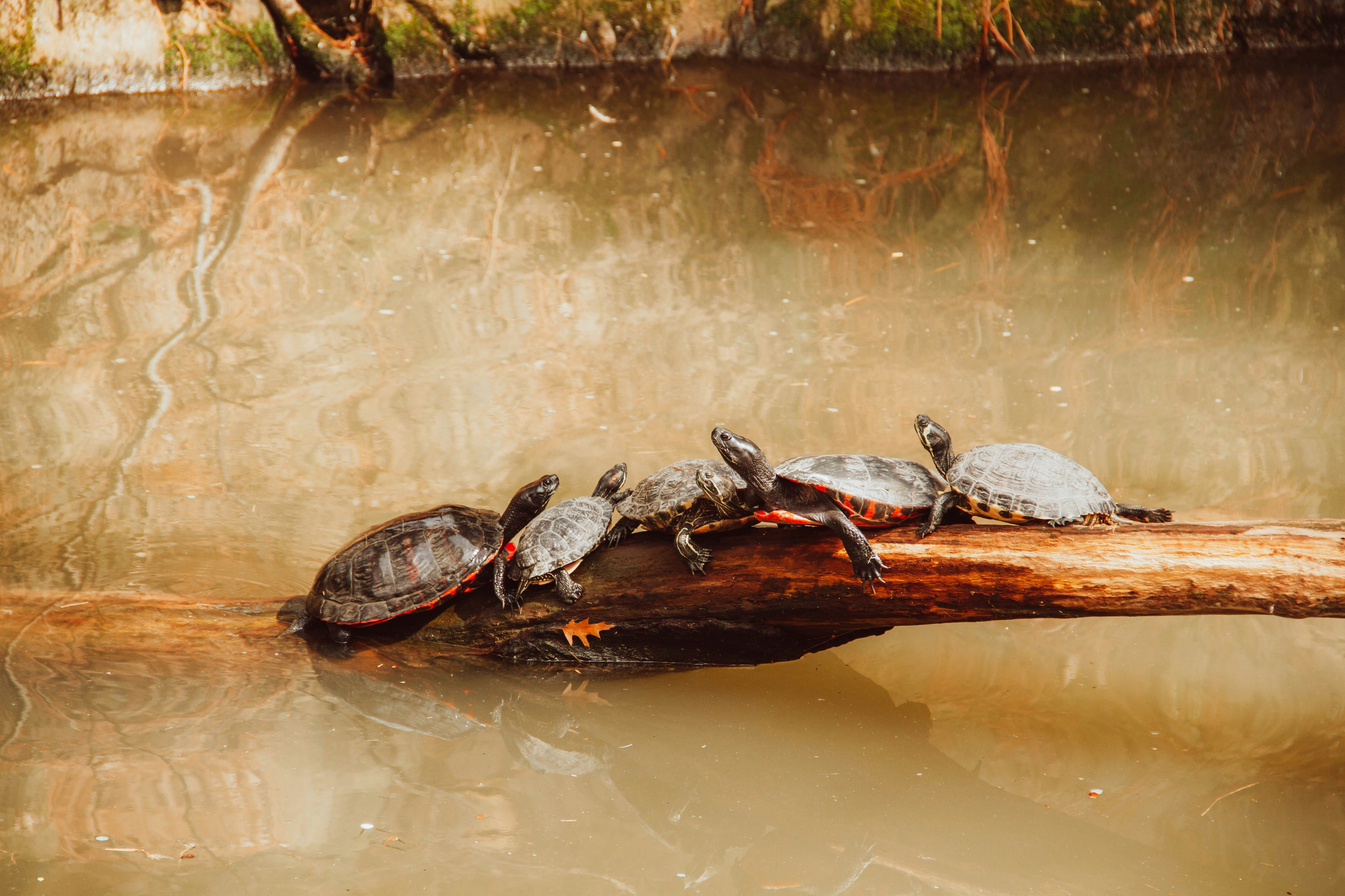 Photo by ingridmartinussen