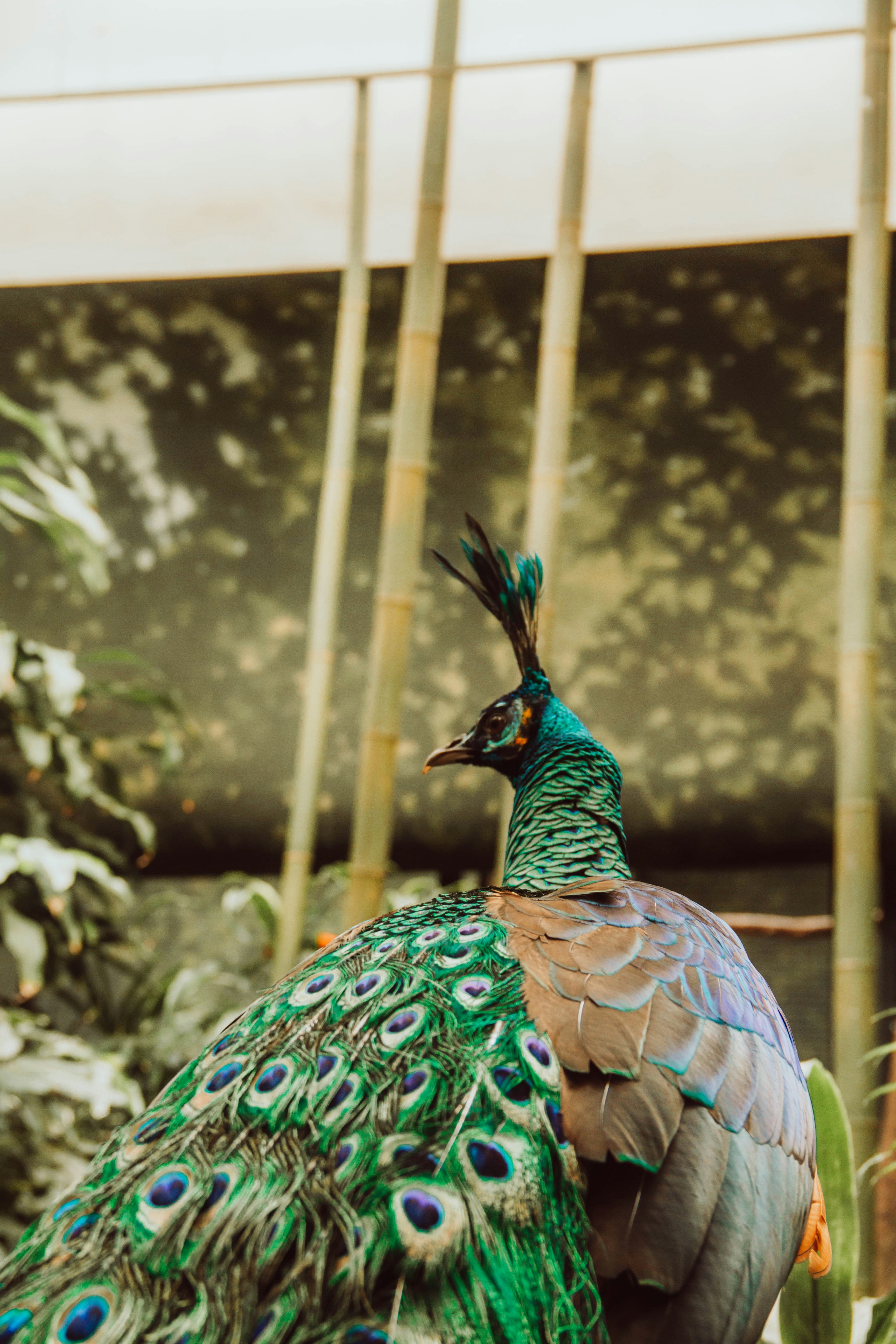 Photo by ingridmartinussen