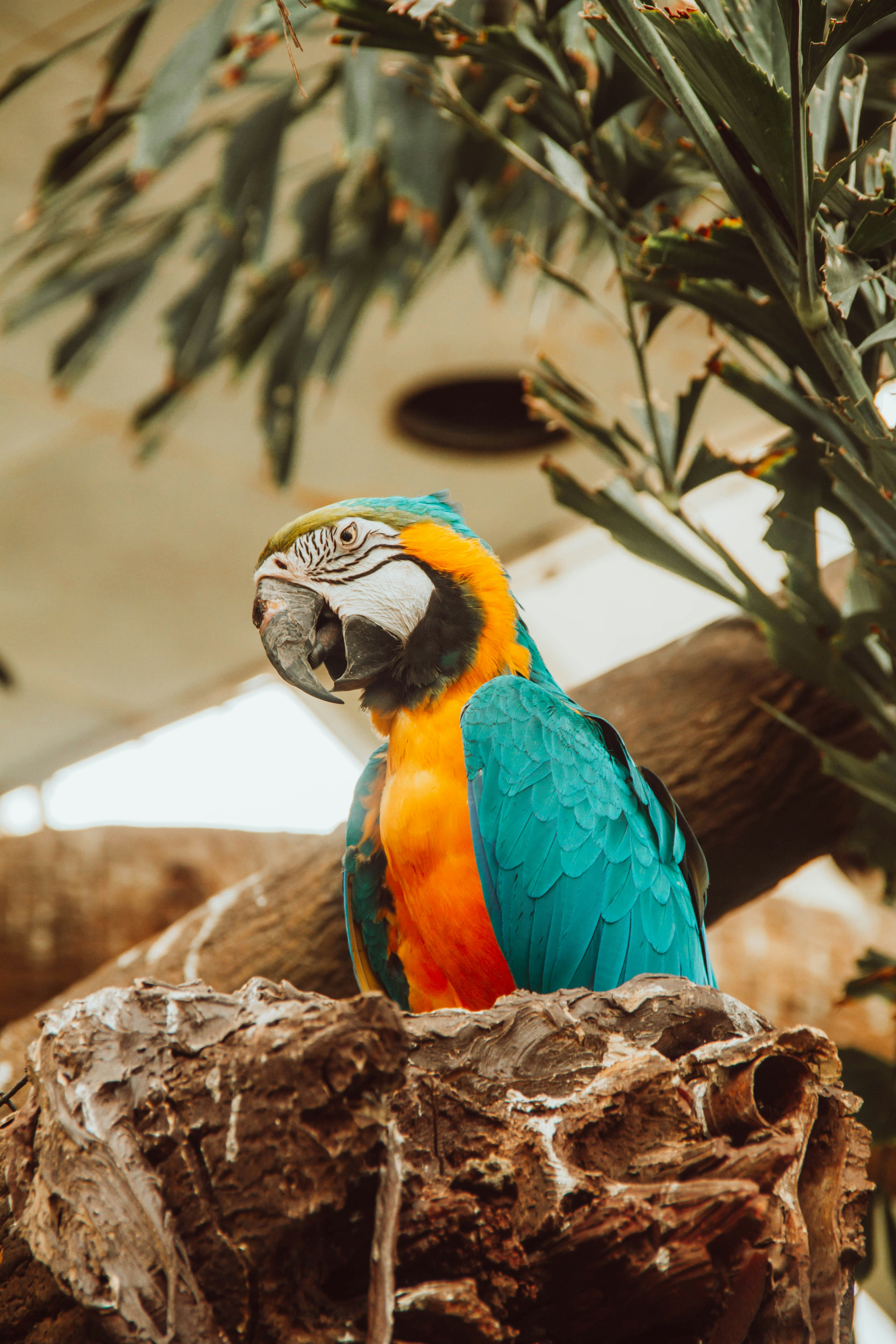 Photo by ingridmartinussen