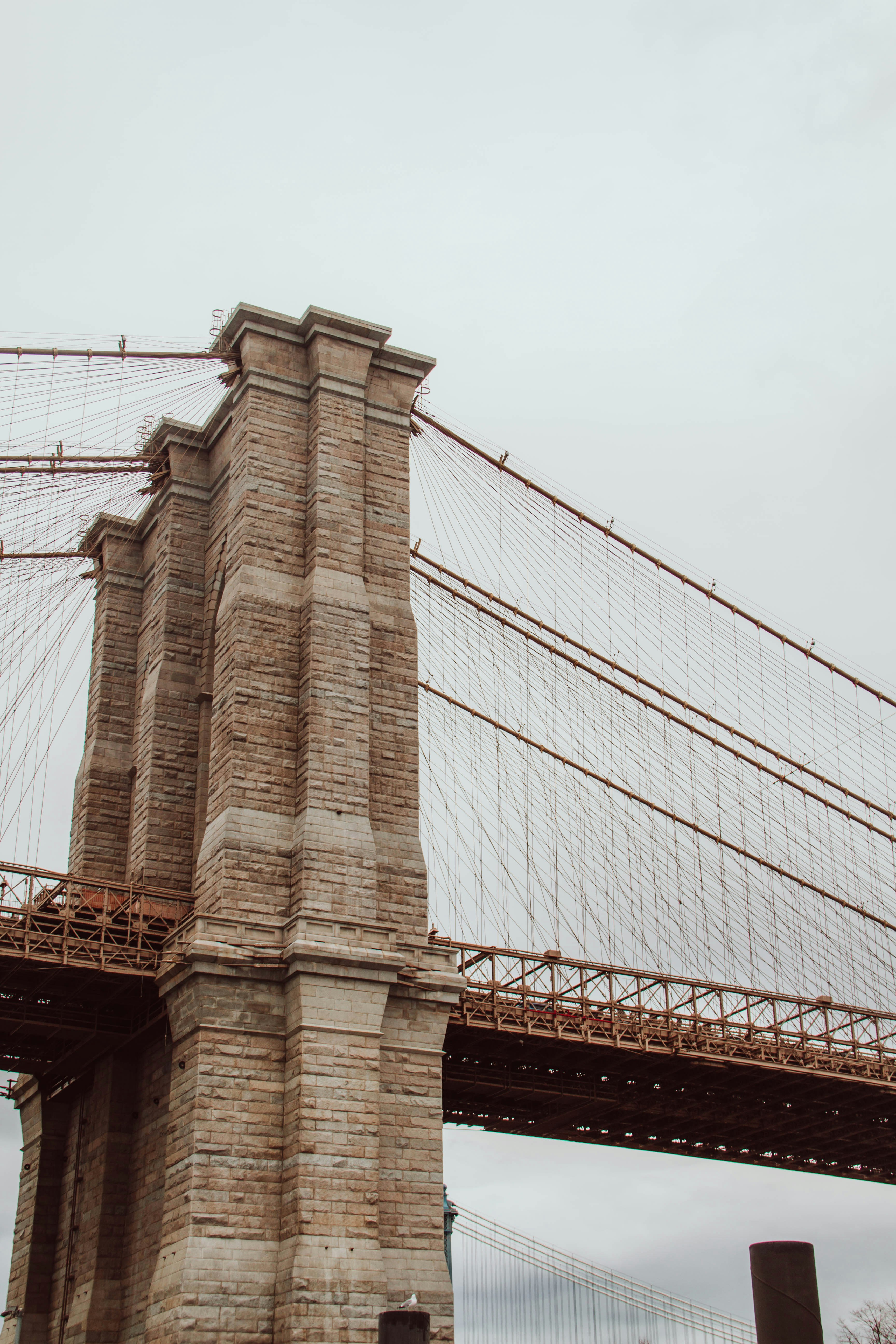 Photo by ingridmartinussen