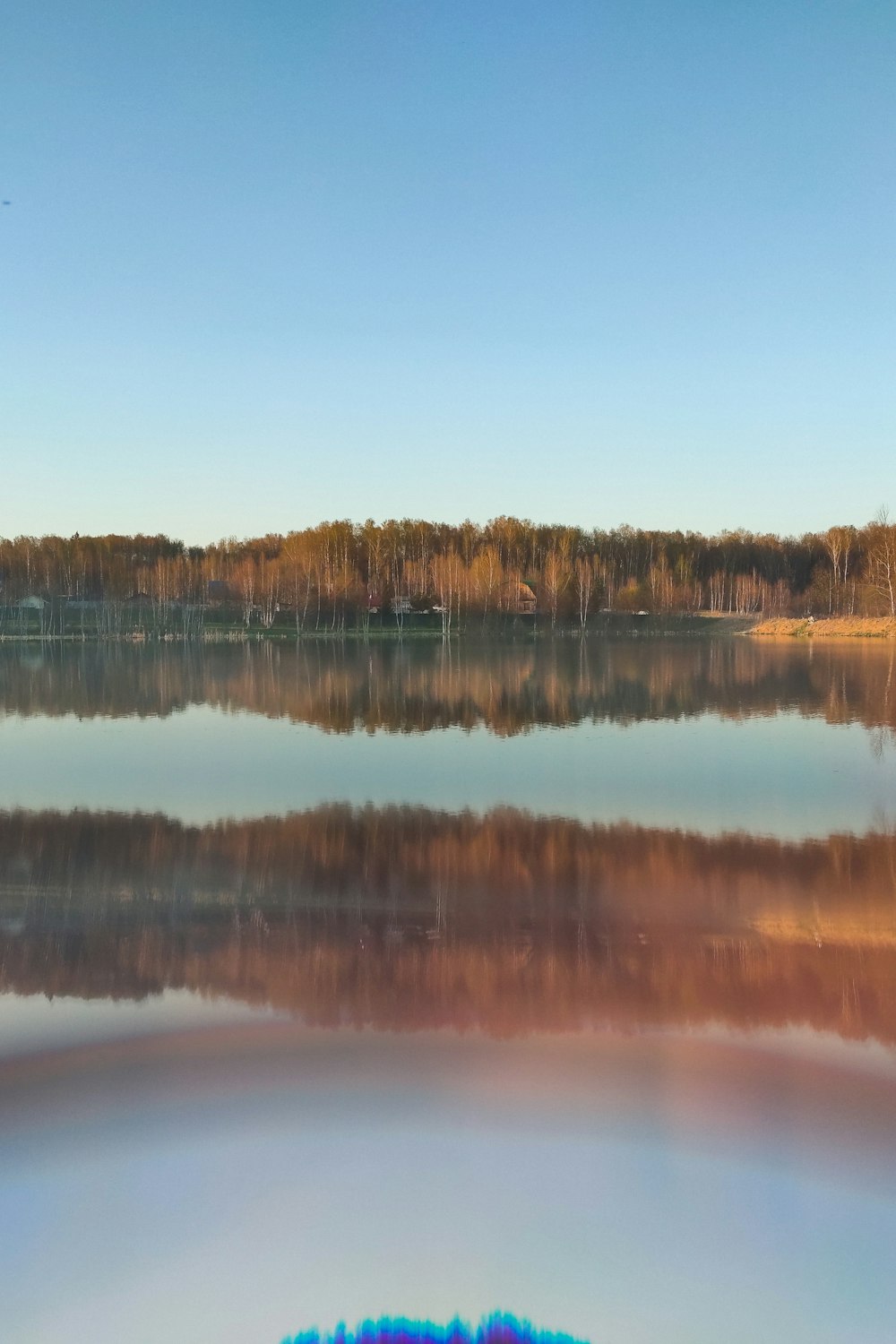 a body of water with trees in the background