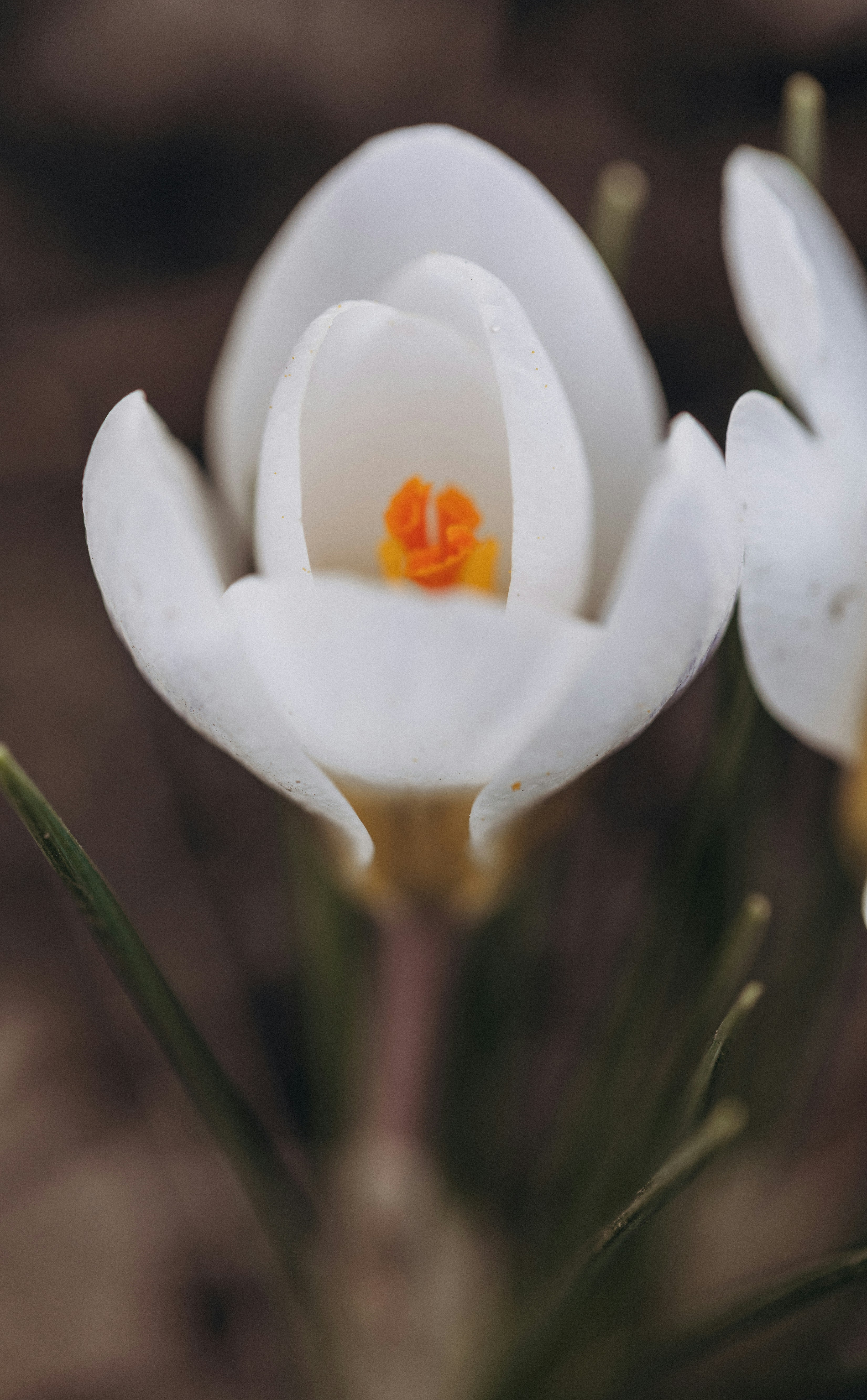 Photo by raspopovamarisha