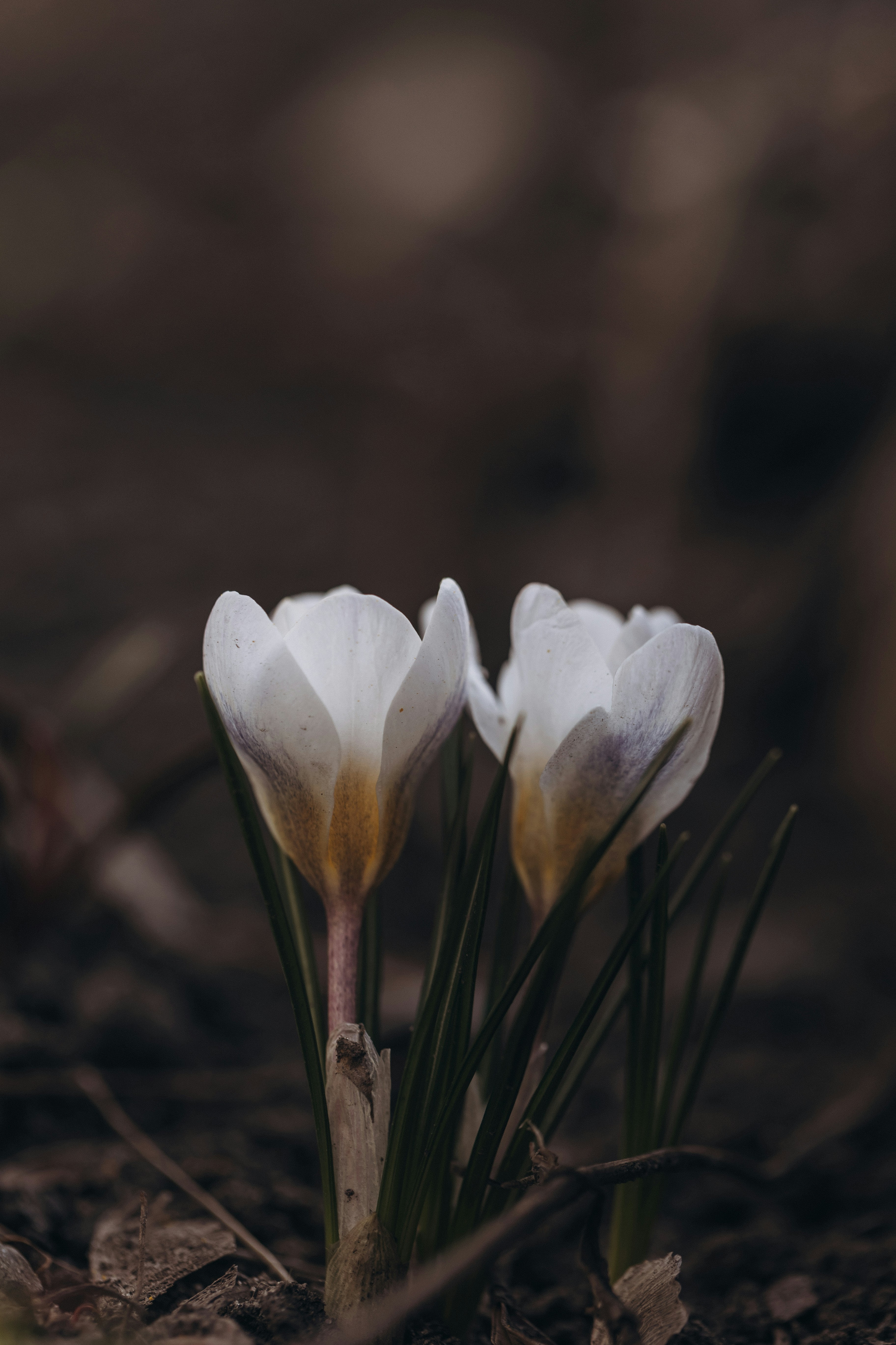 Photo by raspopovamarisha