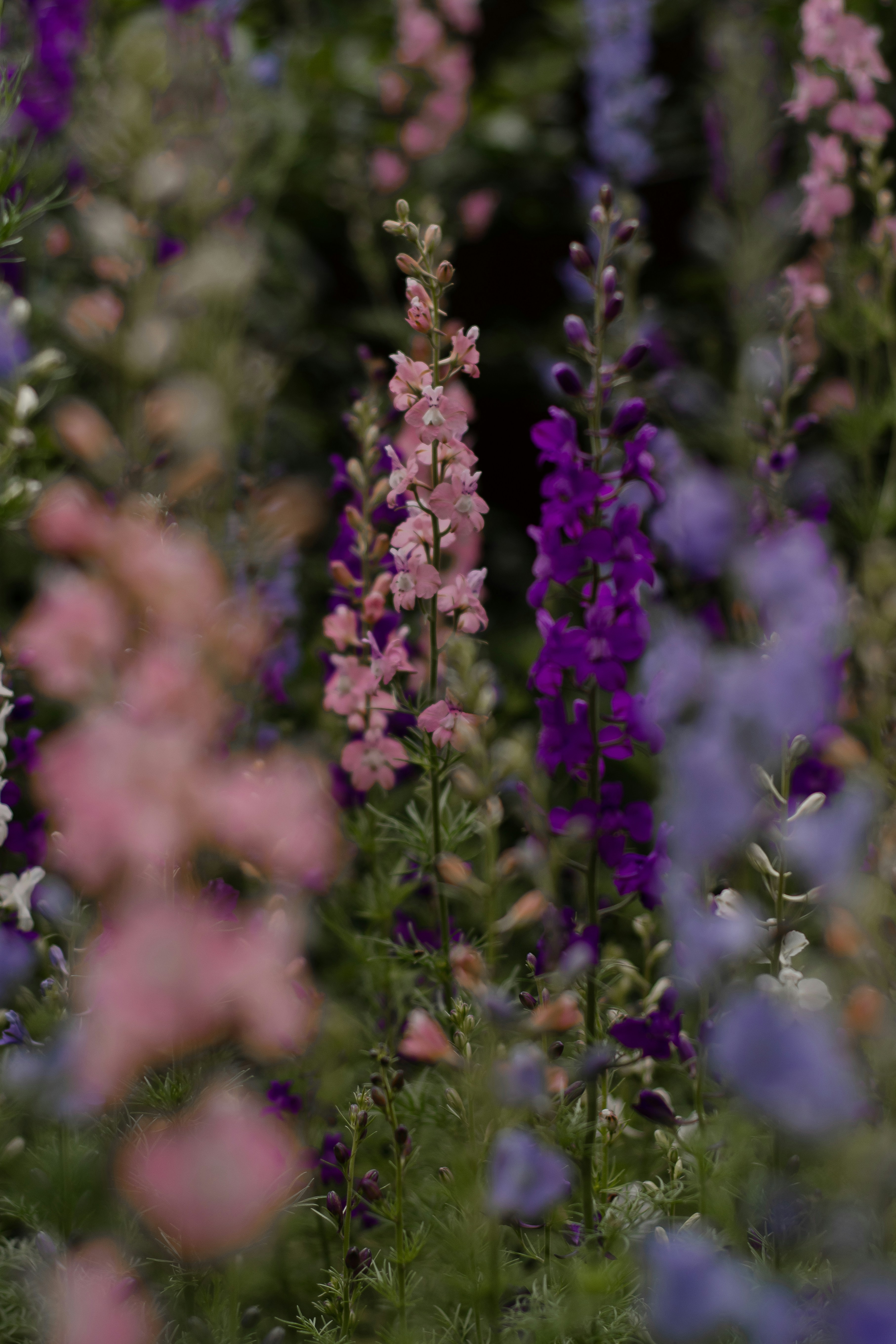 Photo by raspopovamarisha