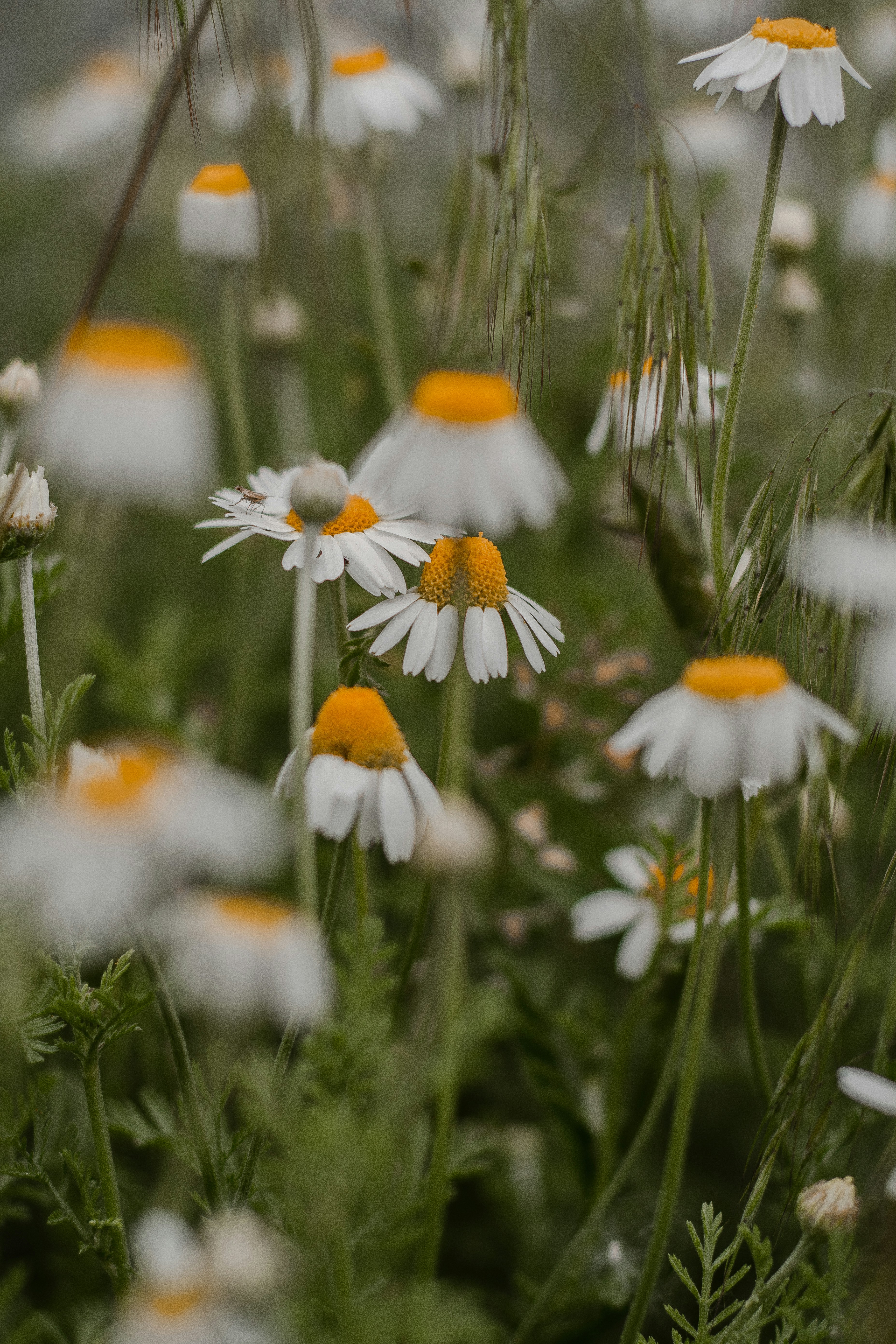 Photo by raspopovamarisha