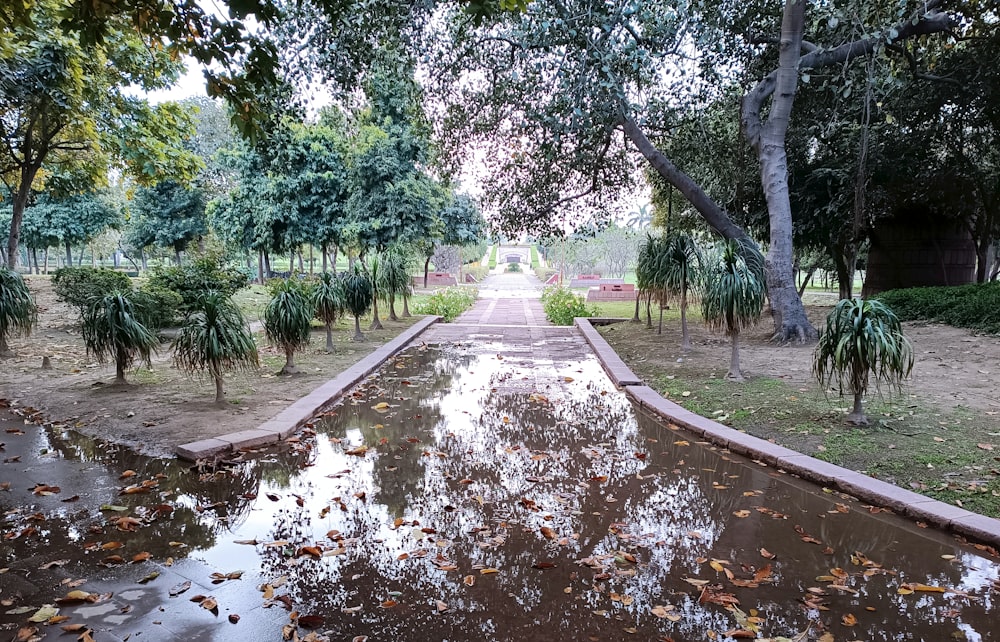 a wet road with trees on either side of it