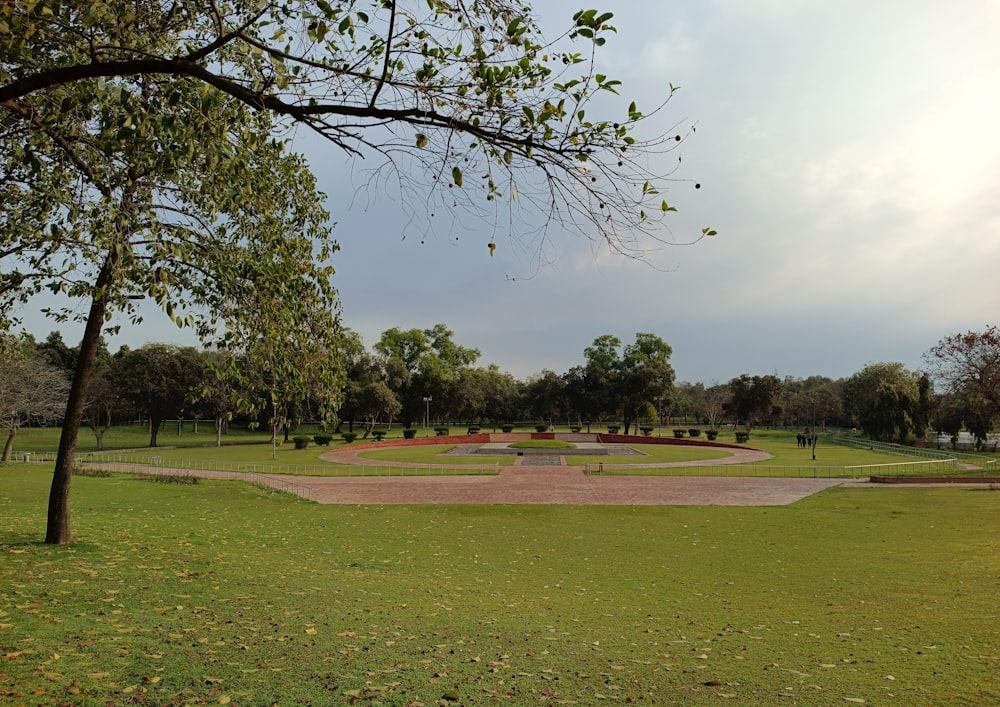 a large green park with trees