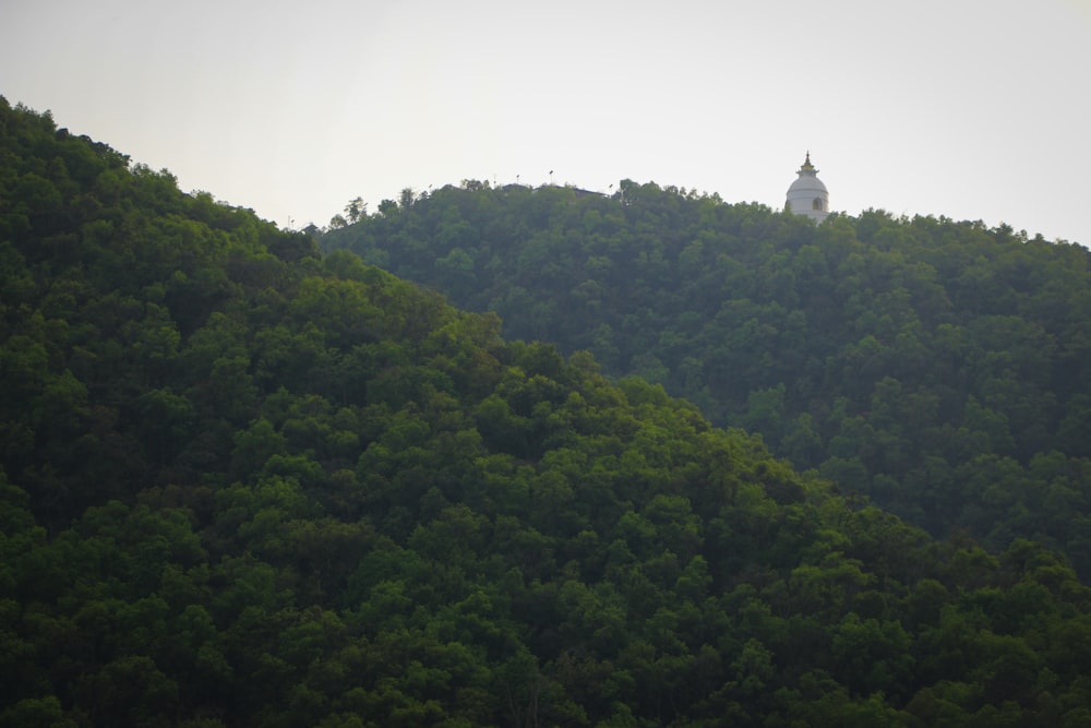 Ein weißer Turm auf einem Hügel mit Bäumen