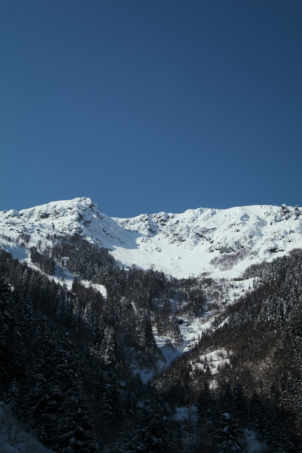 a snowy mountain range