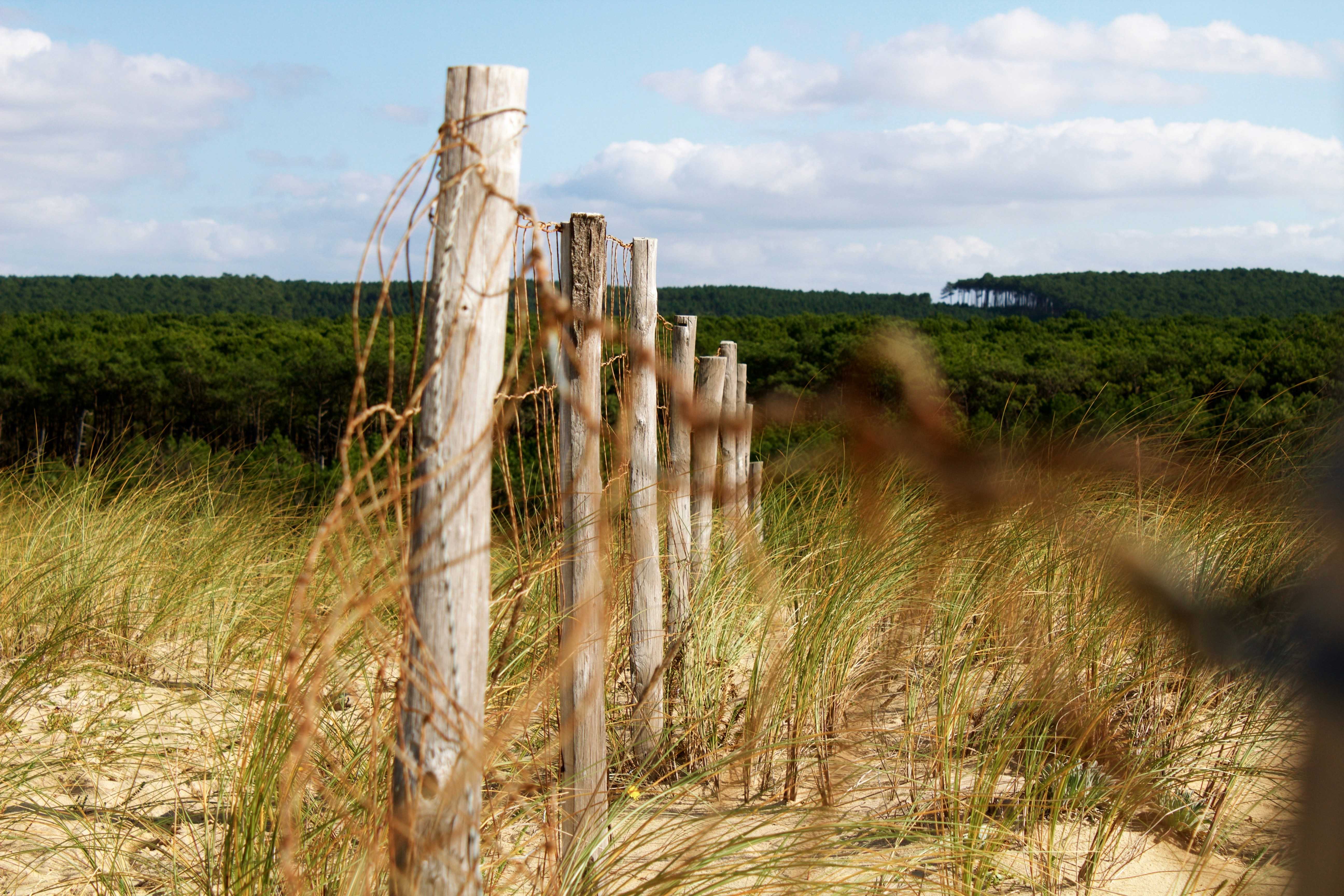 Photo by claudiamessner