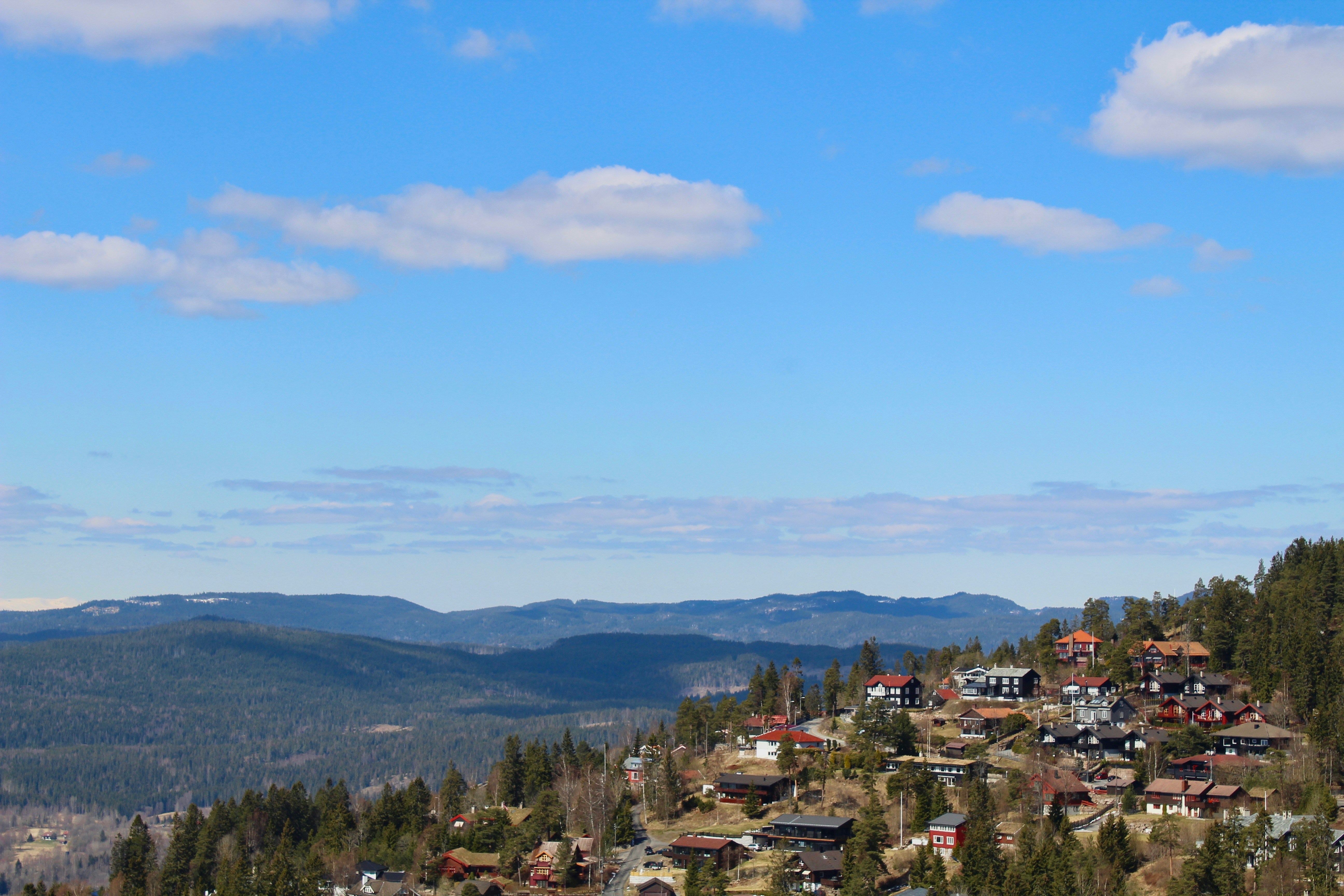 Photo by claudiamessner