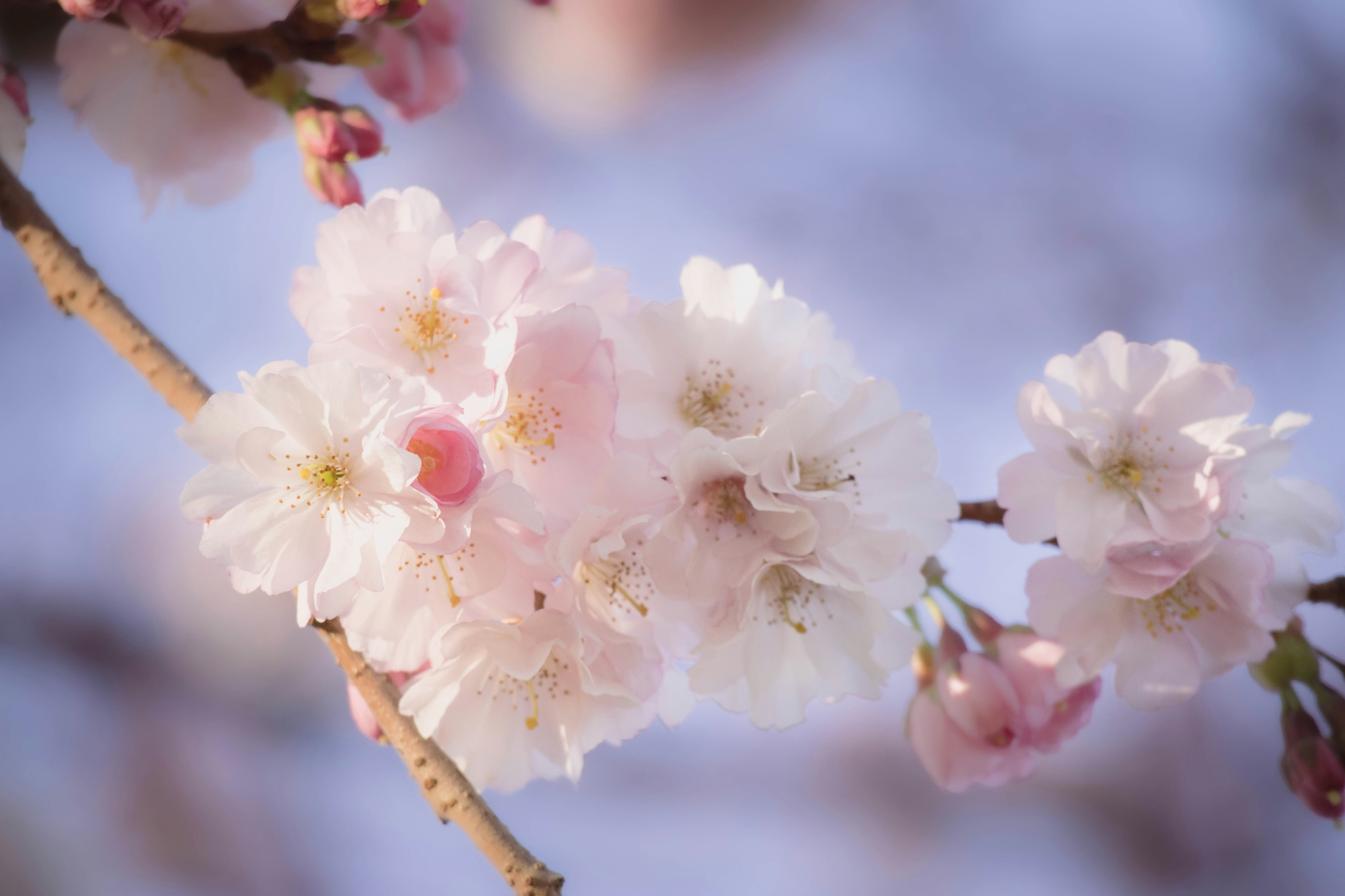 Photo by amandine_bataille_photo