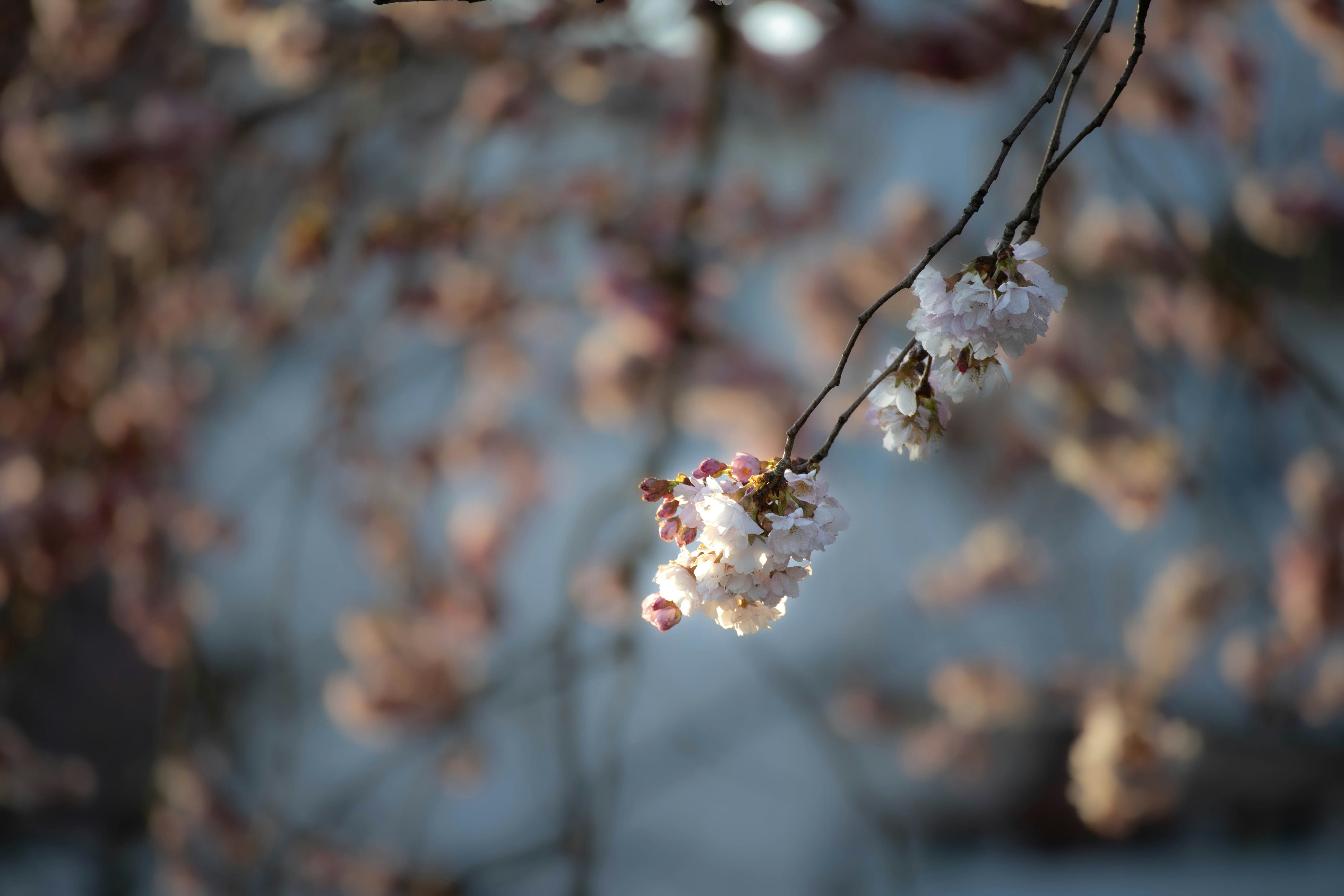 Photo by amandine_bataille_photo