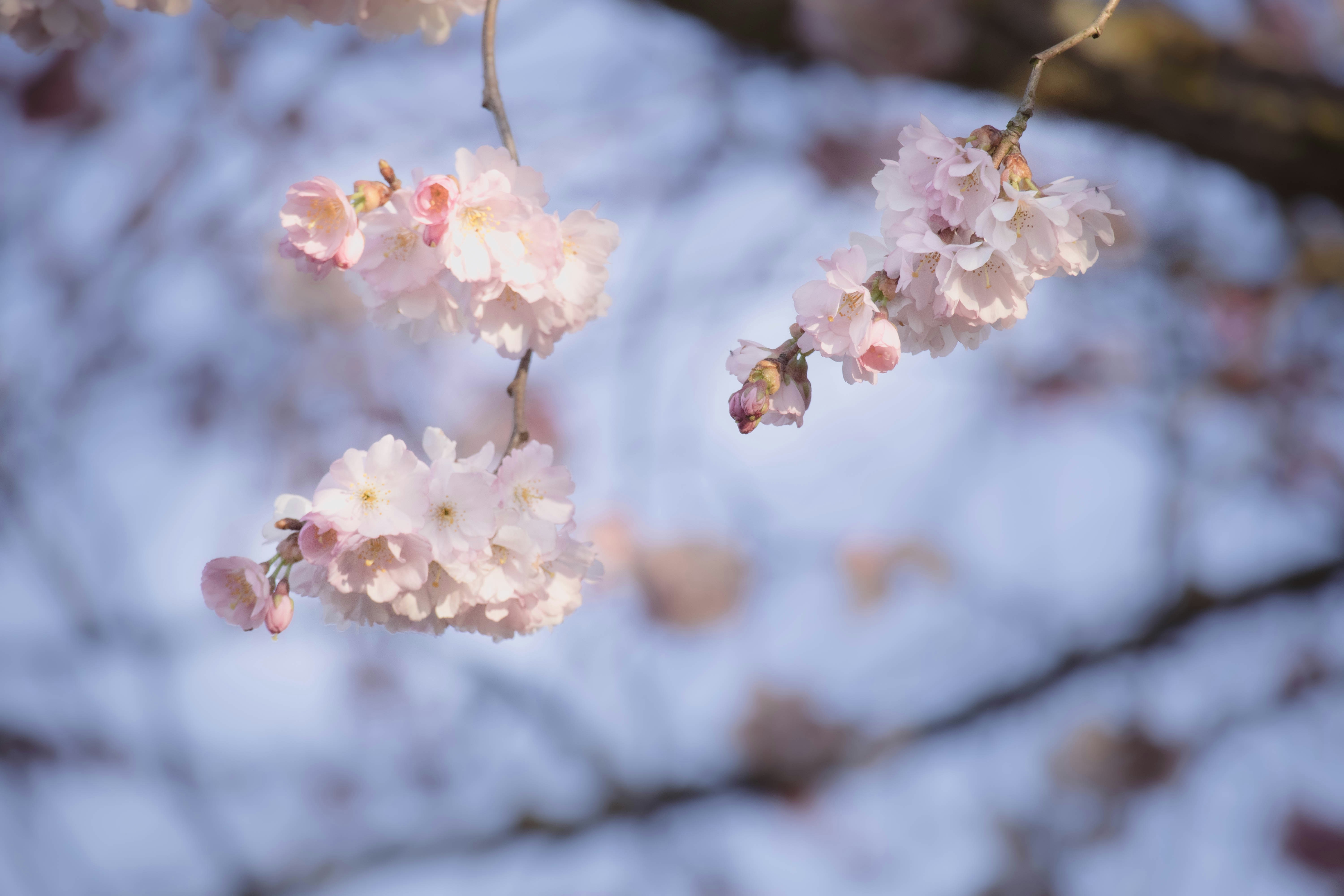 Photo by amandine_bataille_photo