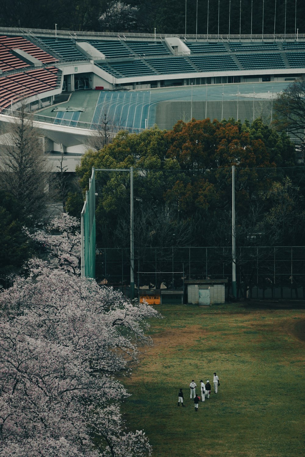 a group of people playing cricket