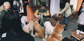 A group of happy pets and their owners gathered during a community meetup