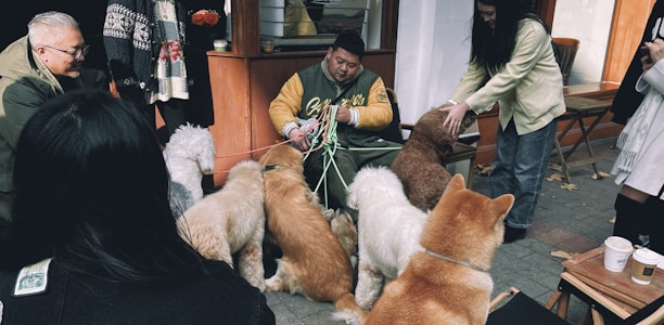 A group of people gather outdoors, some sitting and some standing, while interacting with several dogs. The setting appears casual and social, with a variety of dogs including fluffy and large breeds. Two men are prominently seen, one holding onto multiple leashes, indicating he's managing the dogs.