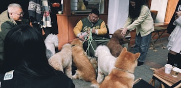 A group of people gather outdoors, some sitting and some standing, while interacting with several dogs. The setting appears casual and social, with a variety of dogs including fluffy and large breeds. Two men are prominently seen, one holding onto multiple leashes, indicating he's managing the dogs.