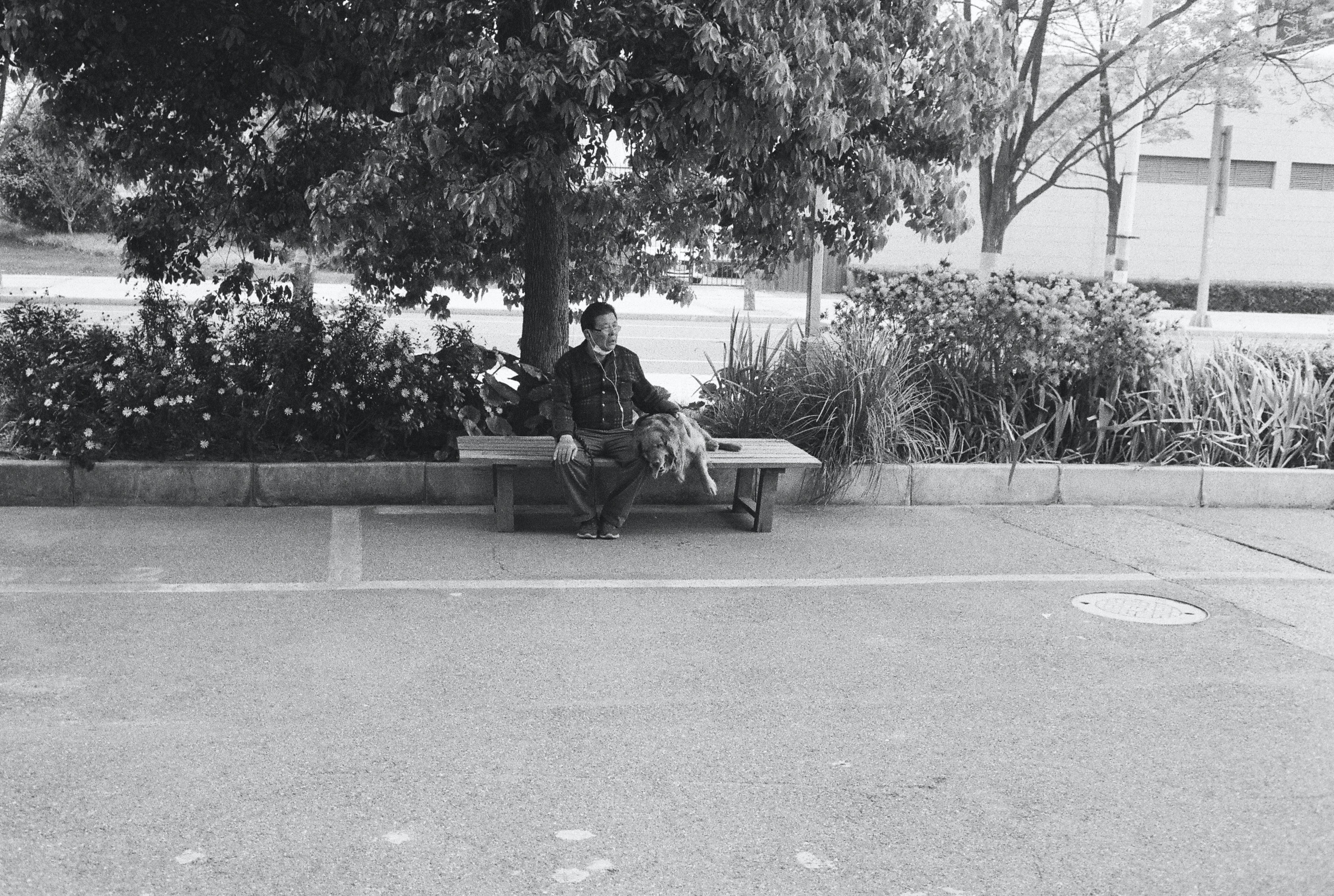 photo-1648643118685-339168471615?ixid=M3