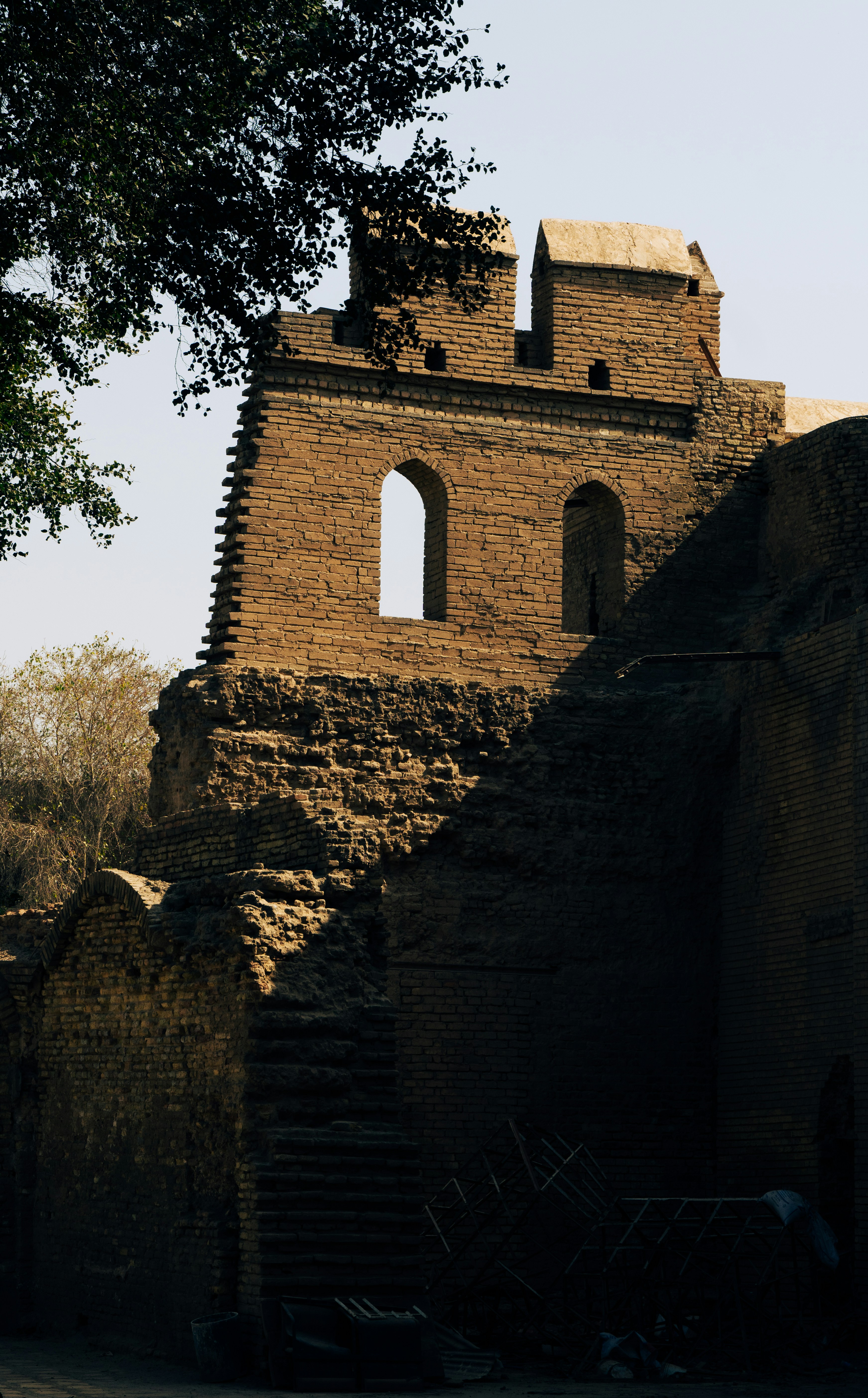 Photo by mrgreatheart