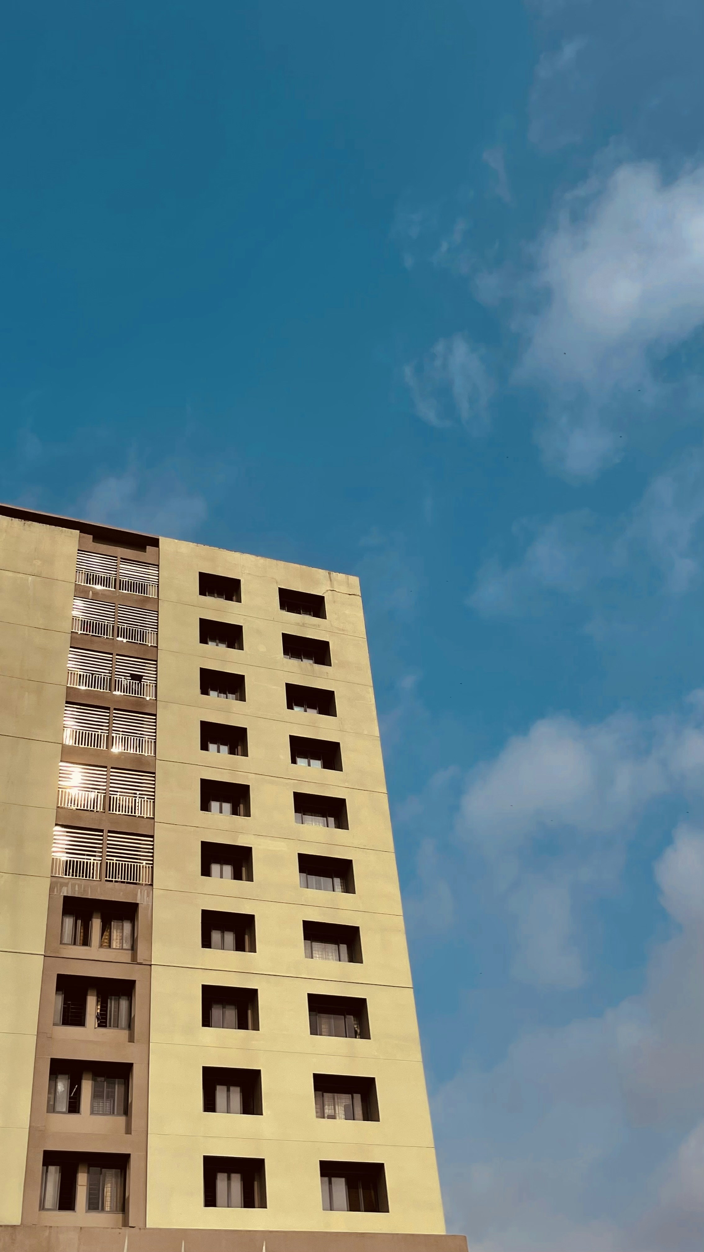 Photo by stevegcarmel