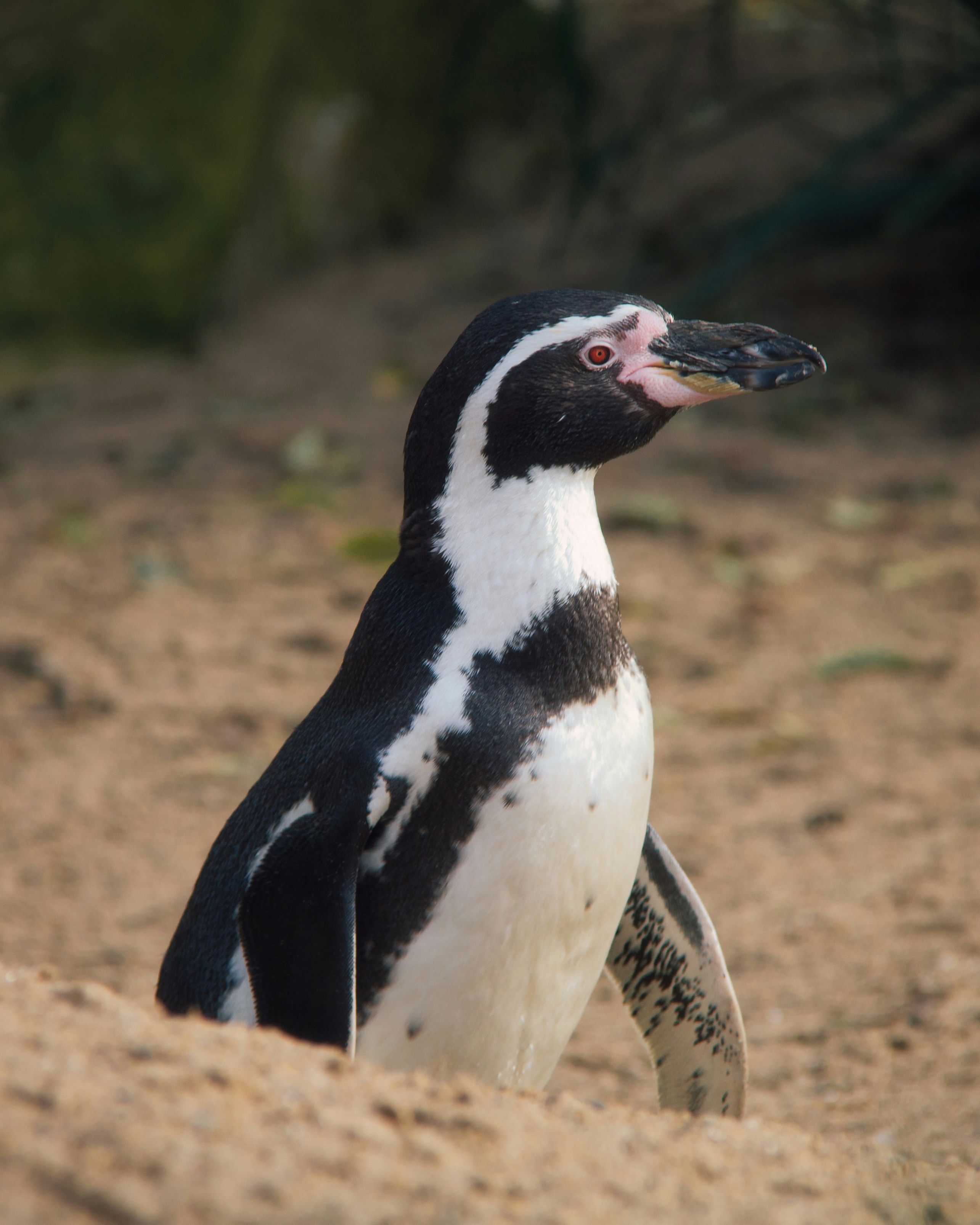 Photo by mathewbrowne