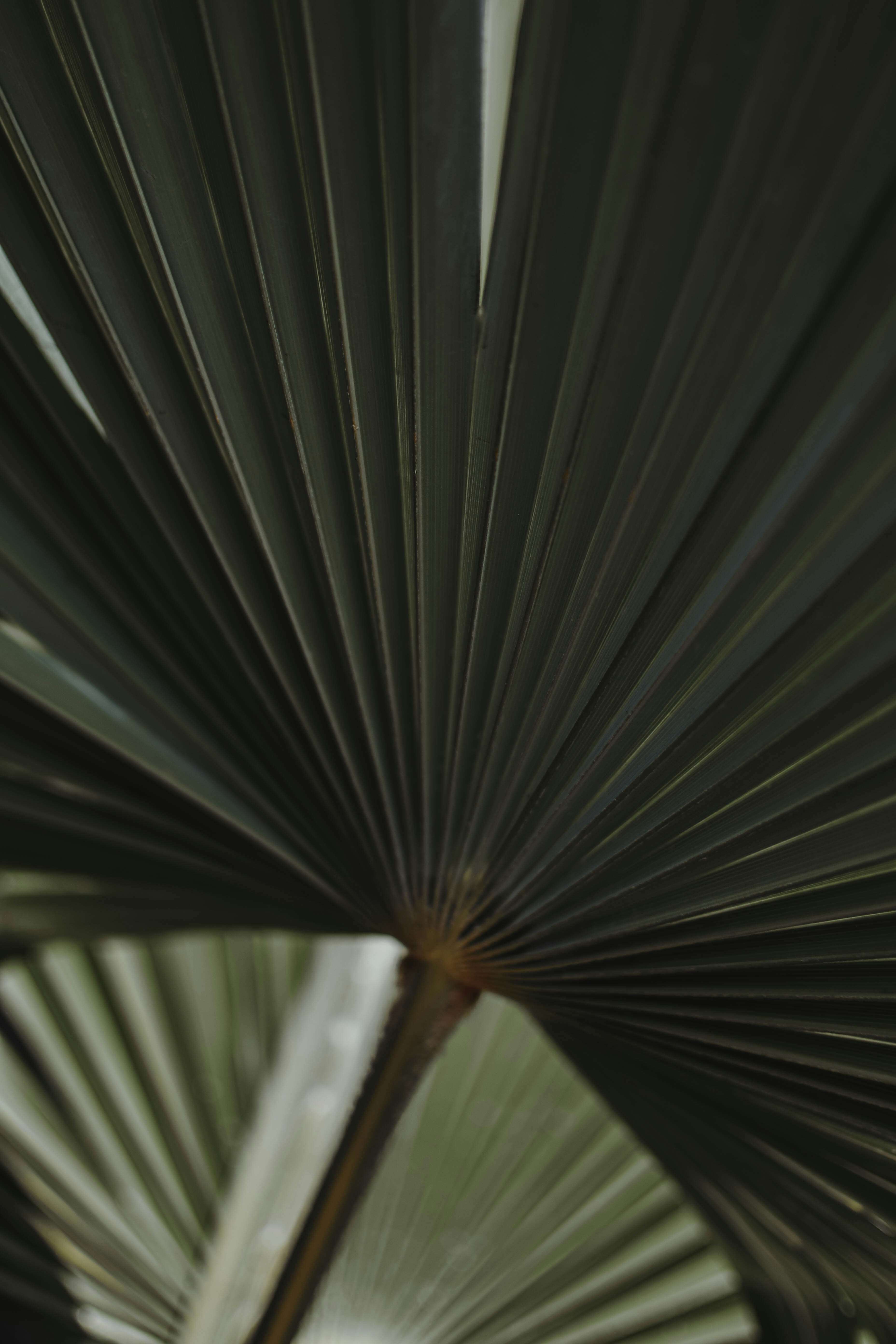 Photo by contentpixie