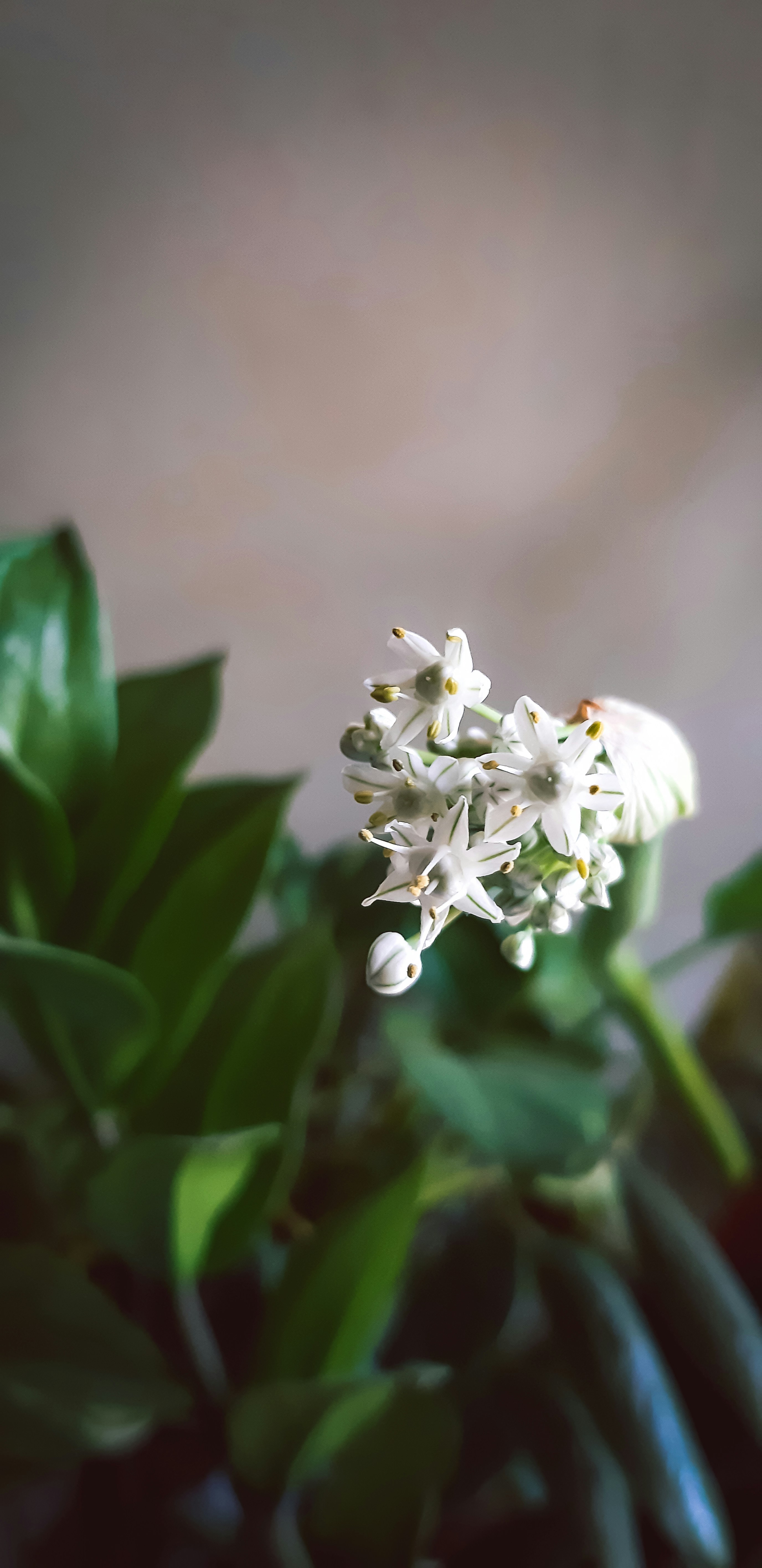 Photo by thevisualstoriesstudio