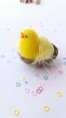 Close-up of a cheerful yellow chick plush toy with a blue sky backdrop.