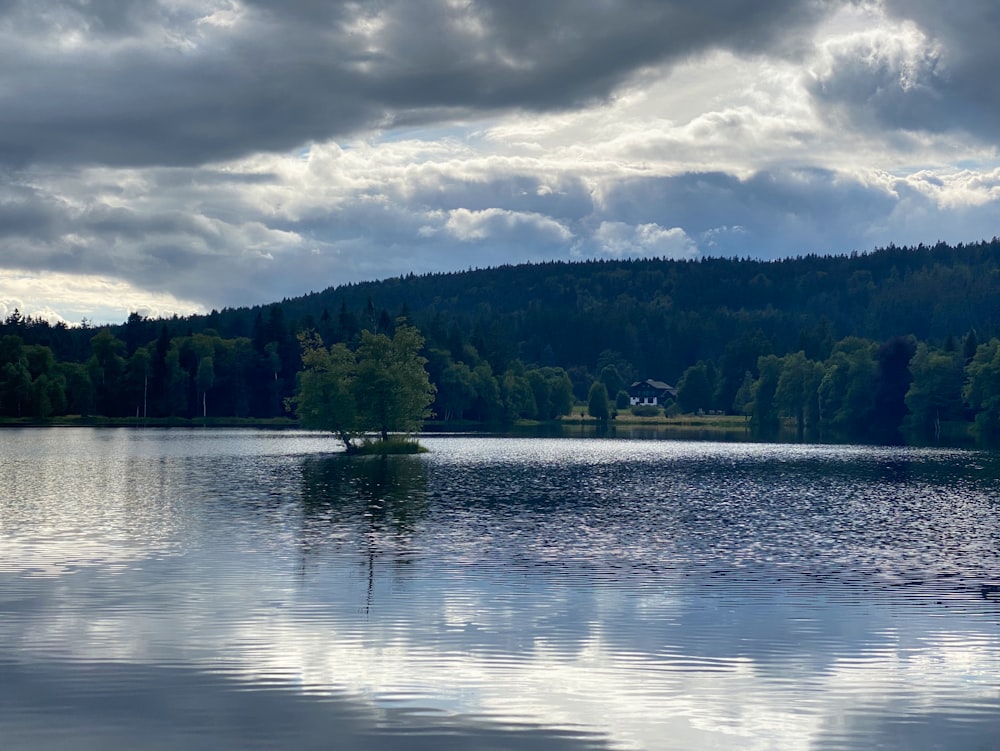 a lake with trees and a house in the background