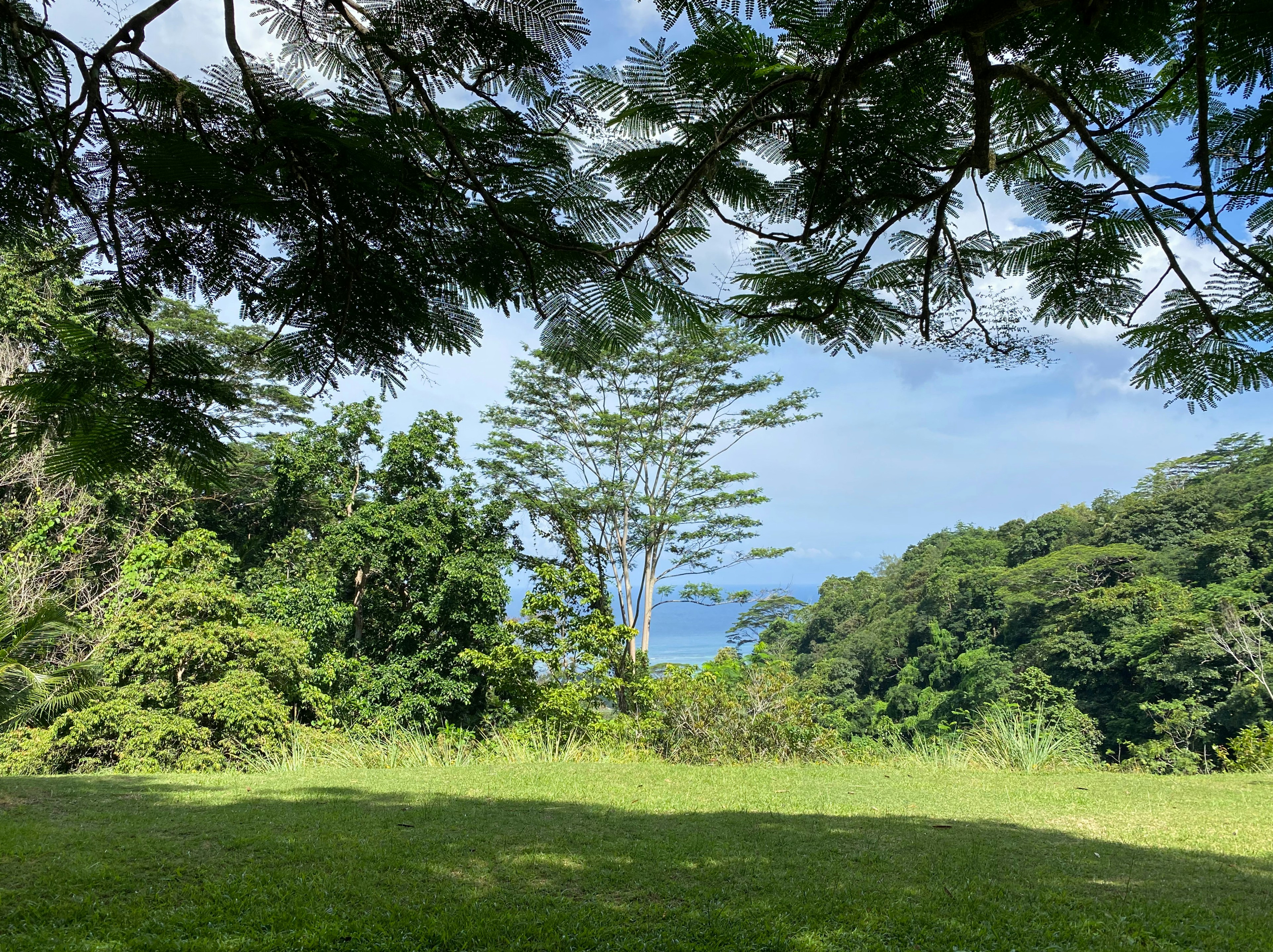 Seychelles skyline — 6-day itinerary on Junto