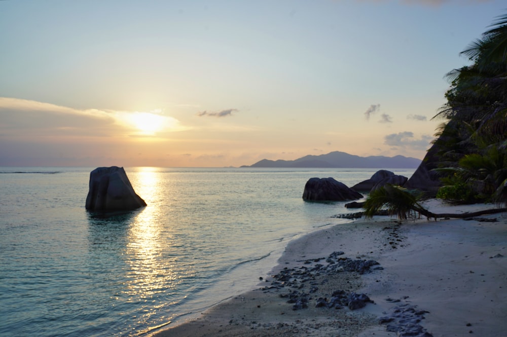 a beach with rocks and trees