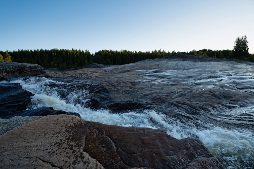 a river with rocks and trees