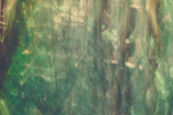 Soft-focus image of a misty forest with muted green tones.