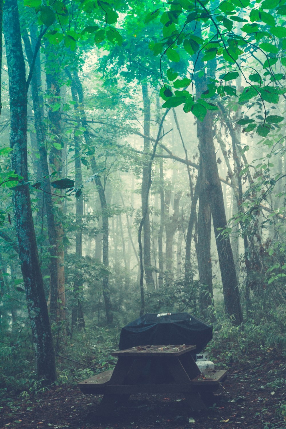 Una parrilla en el bosque