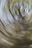 A swirling motion blur effect with circular patterns, resembling a spiral or vortex. The colors are predominantly a mix of green and brown, suggesting foliage or a forest-like setting.